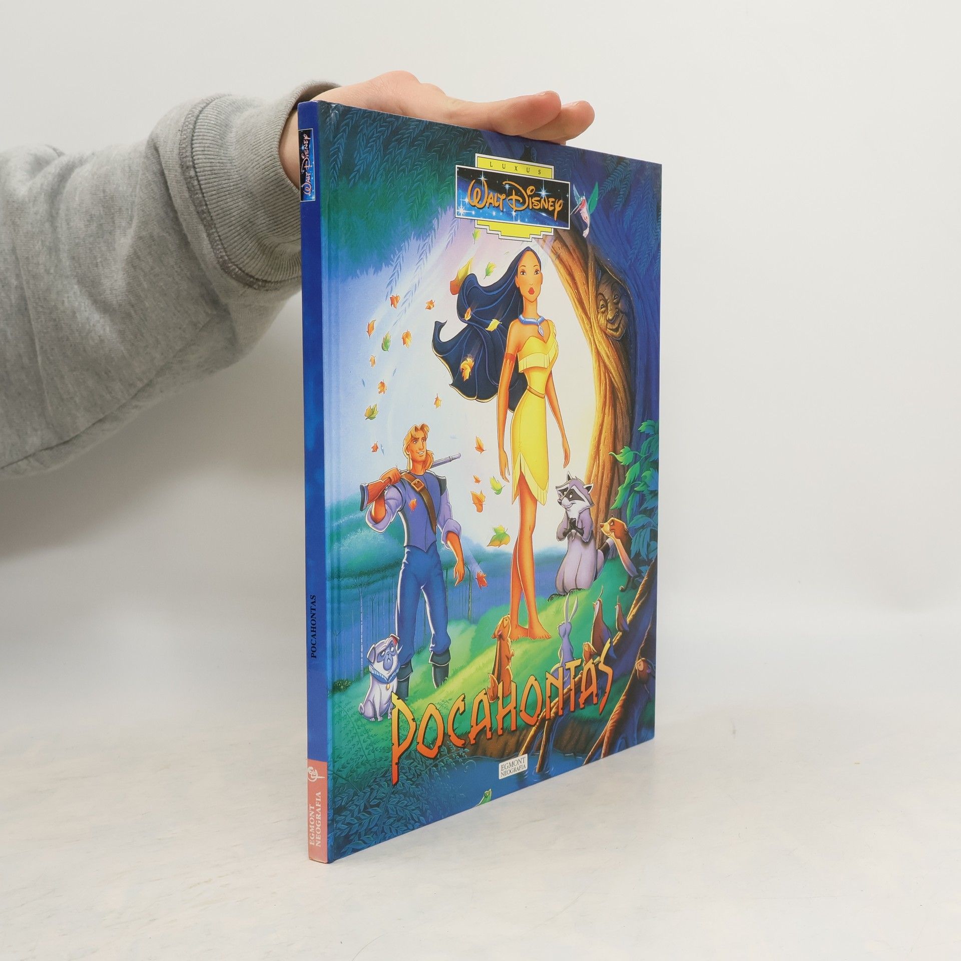 Walt Disney Pocahontas