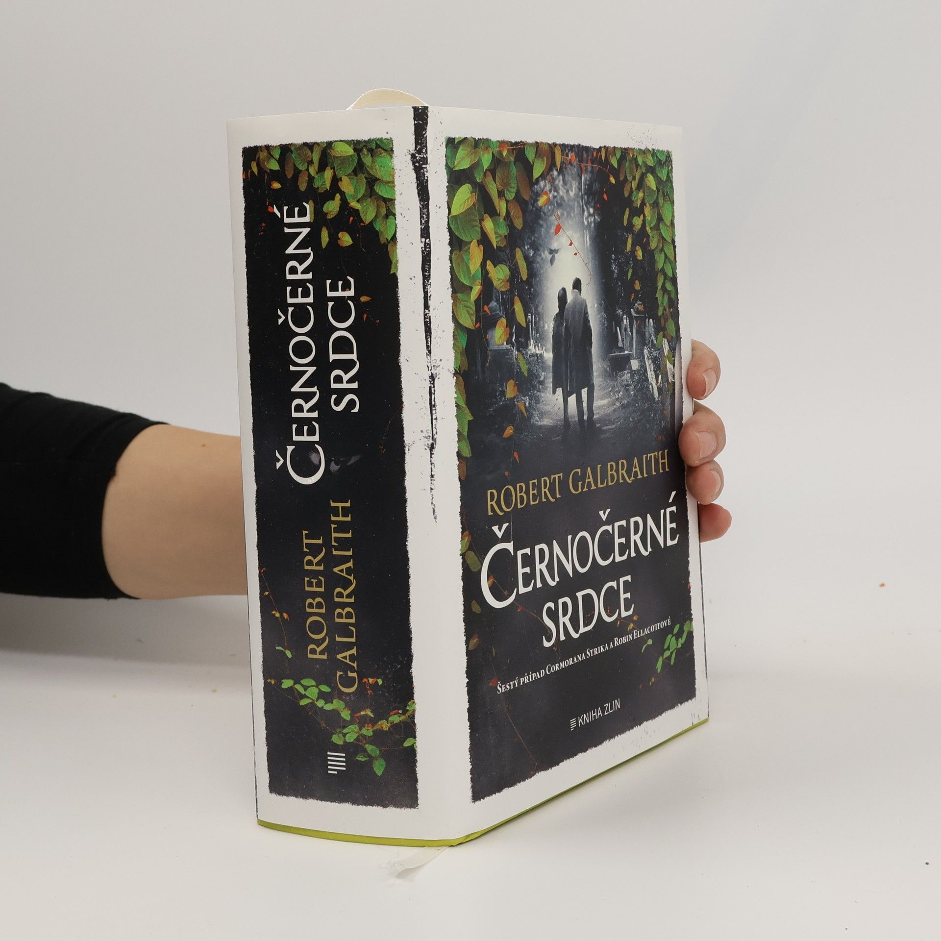 Robert Galbraith Černočerné srdce
