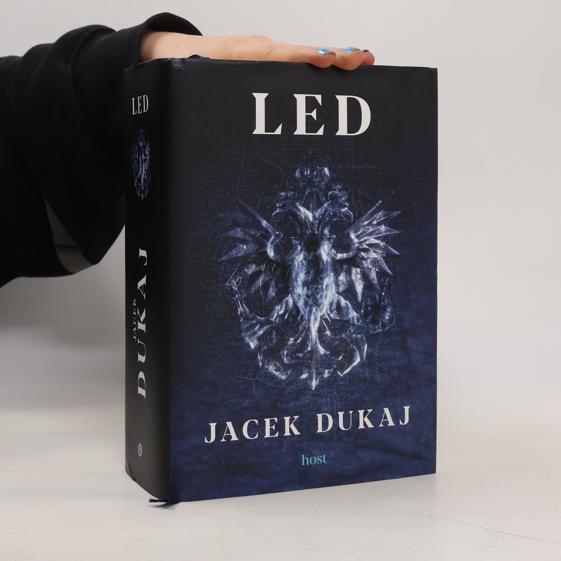 Jacek Dukaj Led