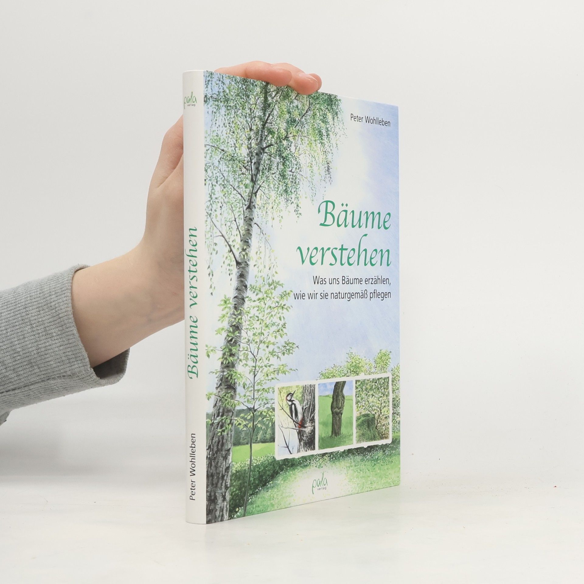 Peter Wohlleben Bäume verstehen