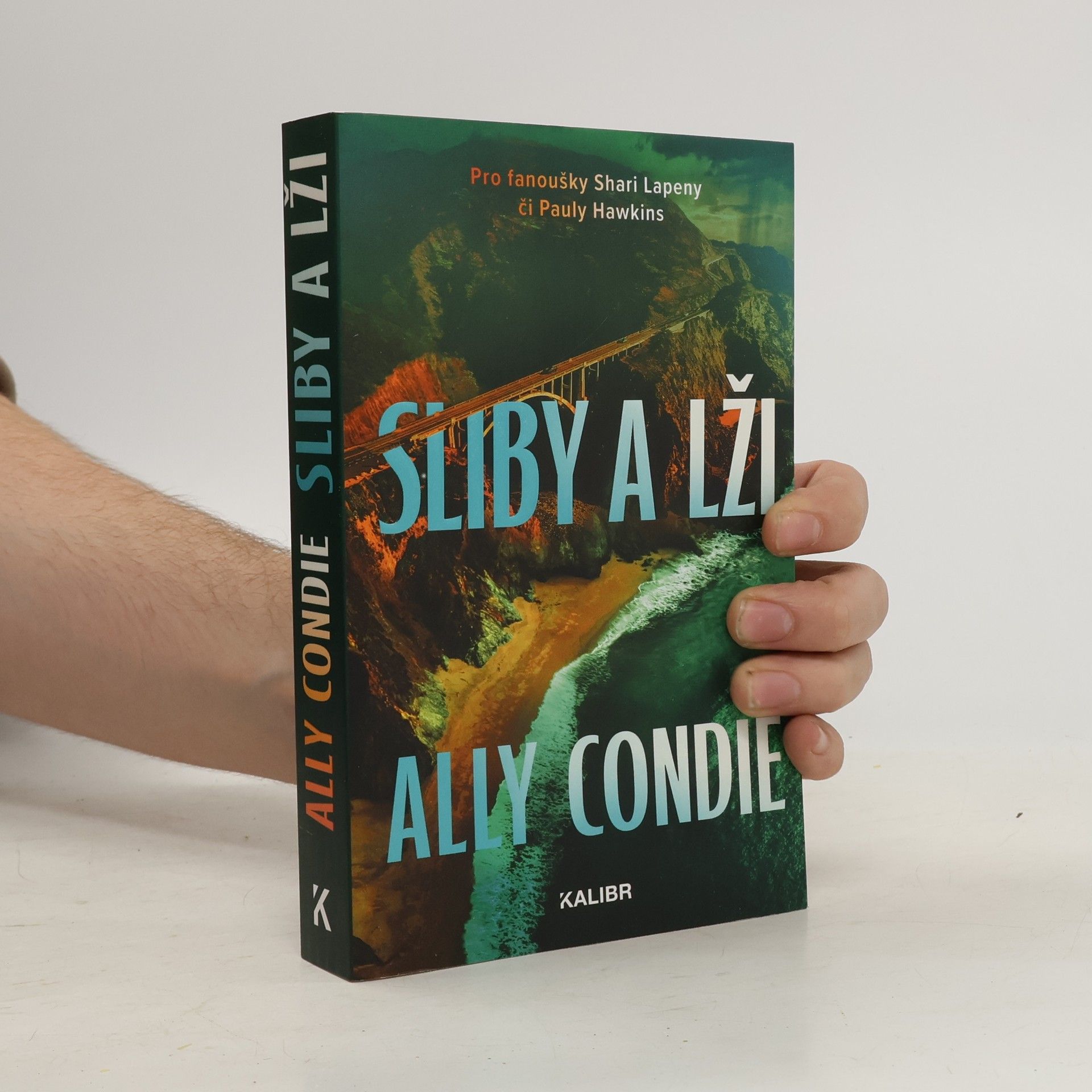 Ally Condie Sliby a lži