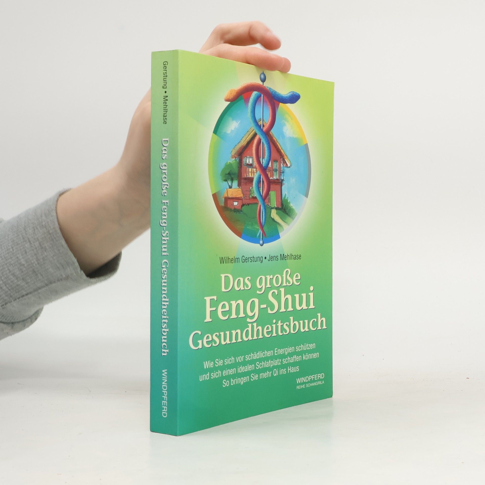 Reihe Shangrila: Das grosse Feng Shui Gesundheitsbuch: Wie Sie sich vor schädlichen Energien schützen und einen idealen Schlafplatz schaffen können. So bringen Sie mehr Qi ins Haus