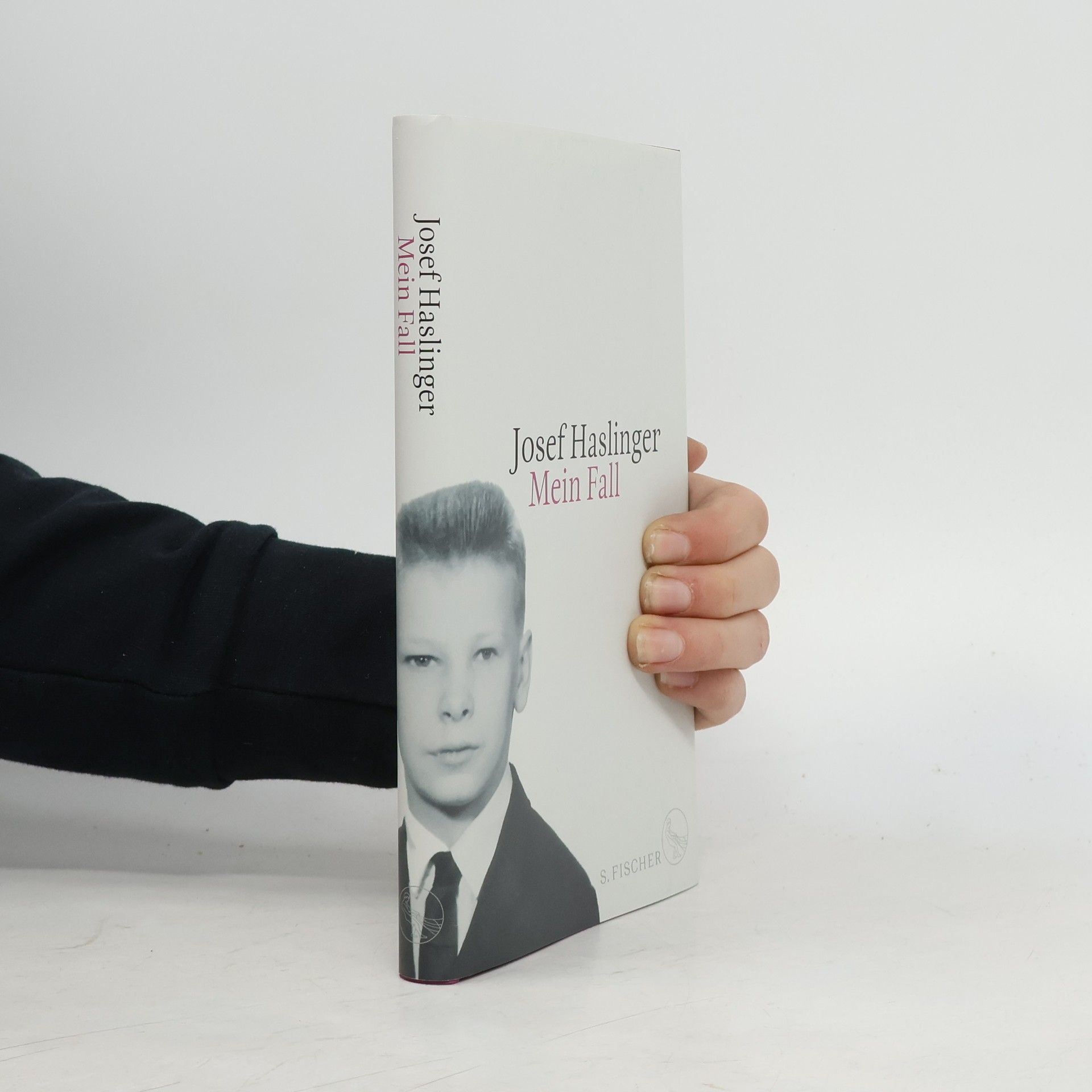 Josef Haslinger Mein Fall