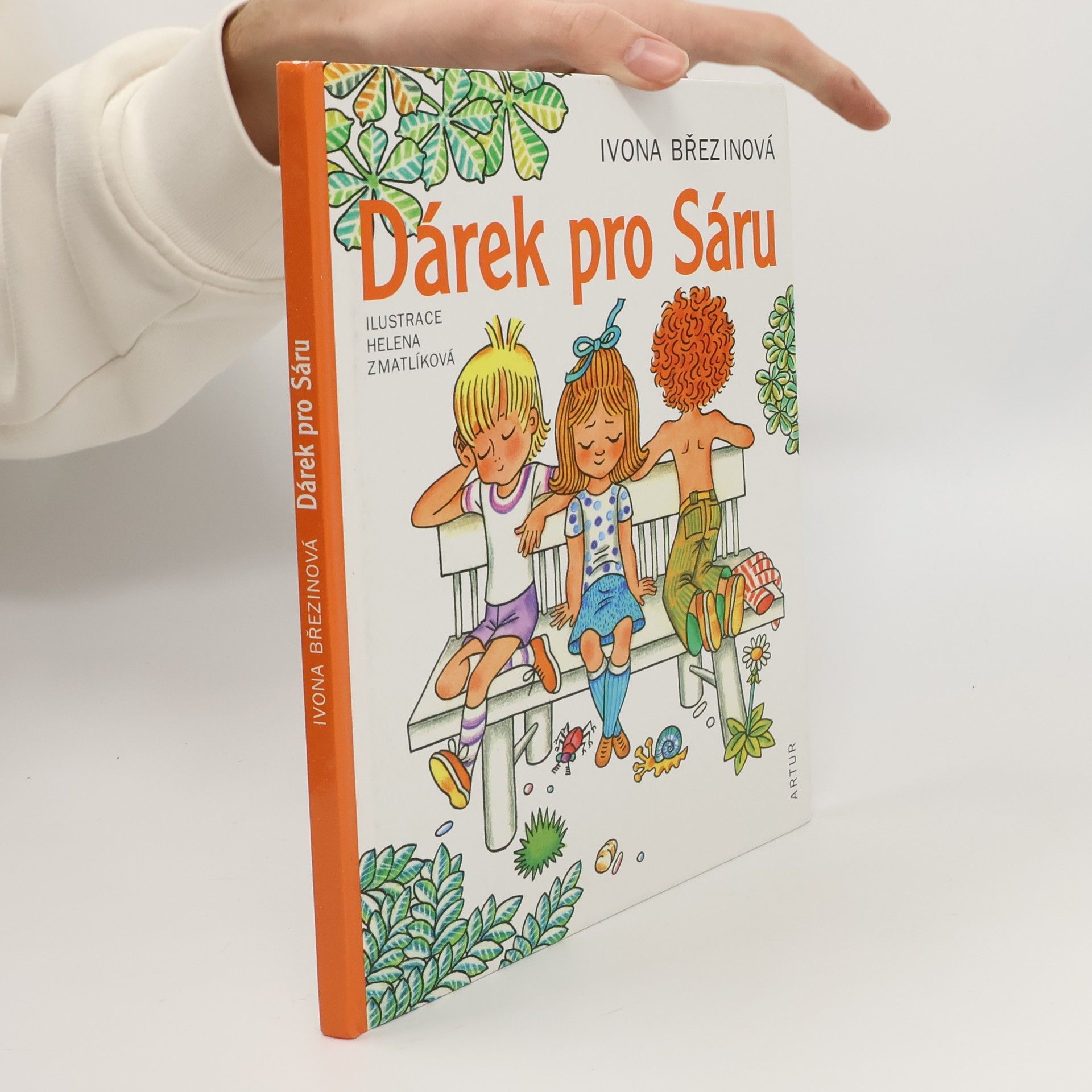 Ivona Březinová Dárek pro Sáru