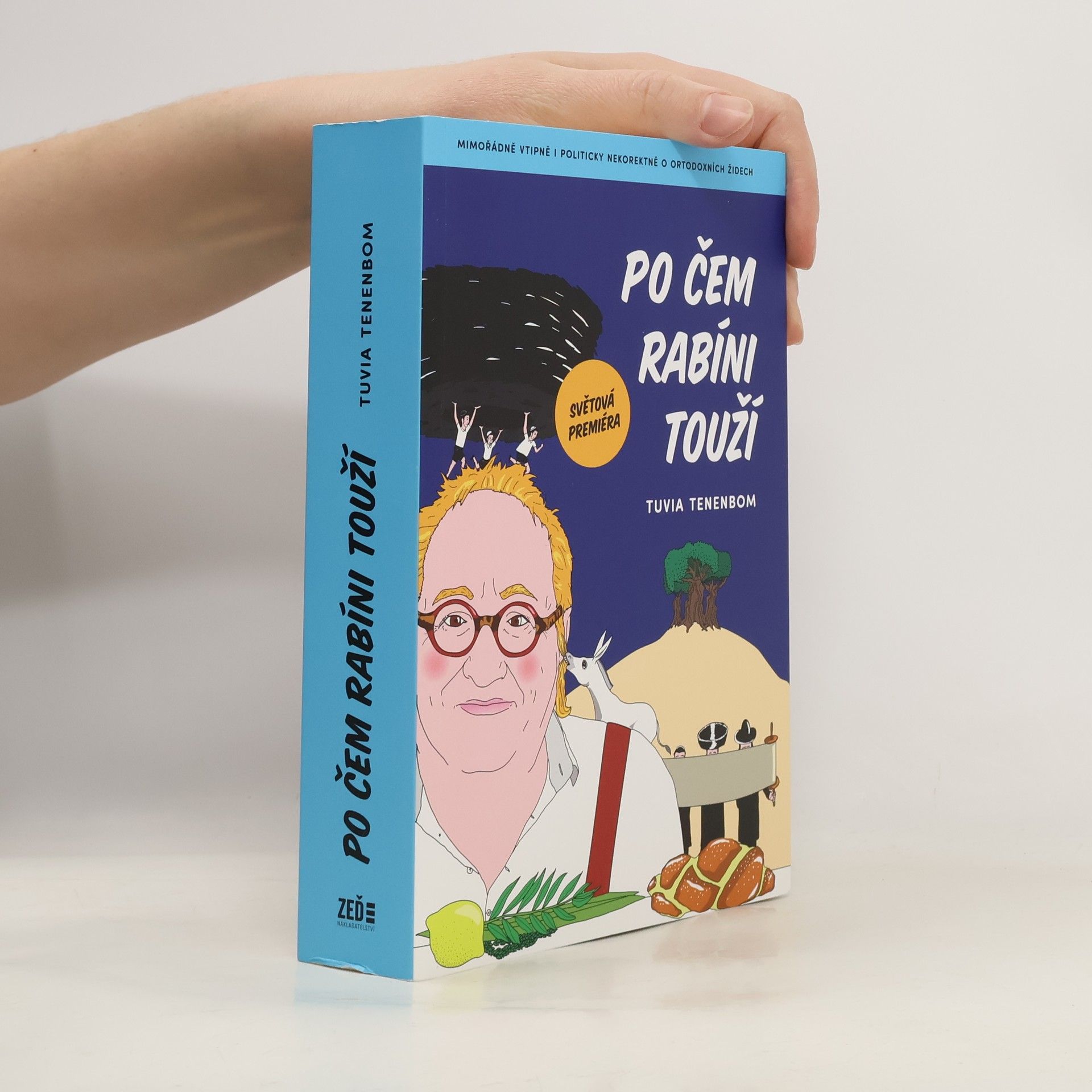 Po čem rabíni touží : mimořádně vtipná i politicky nekorektní zpráva o ortodoxních Židech