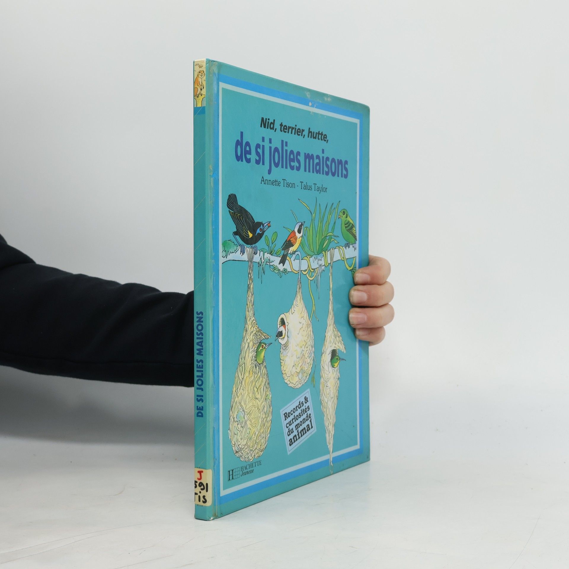 Annette Tison Nid, terrier, hutte, de si jolies maisons