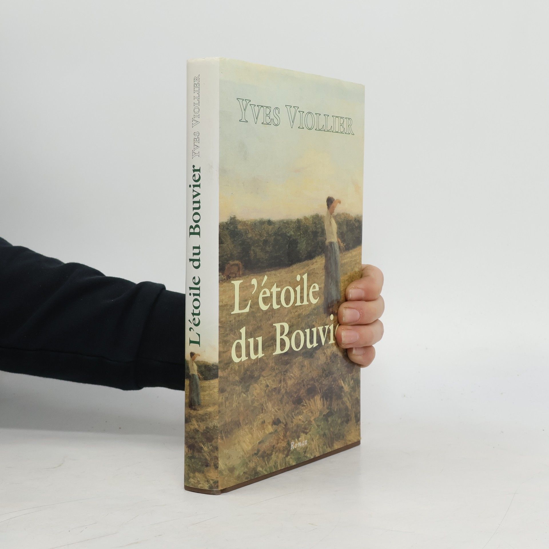 Viollier Yves Les saisons de Vendée: L'étoile du Bouvier