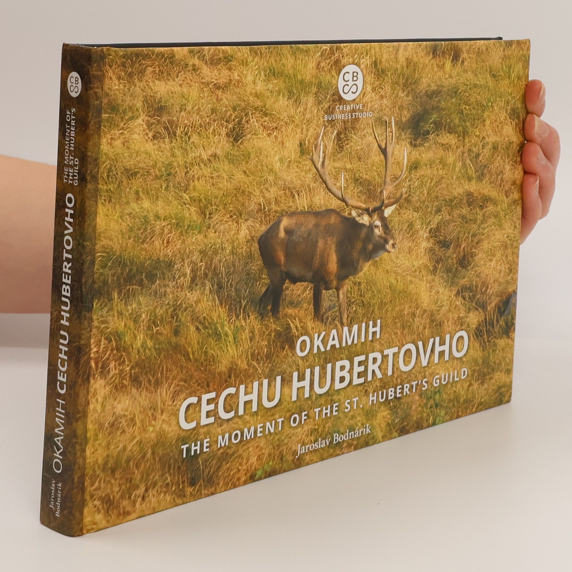 Jaroslav Bodnárik Okamih cechu Hubertovho