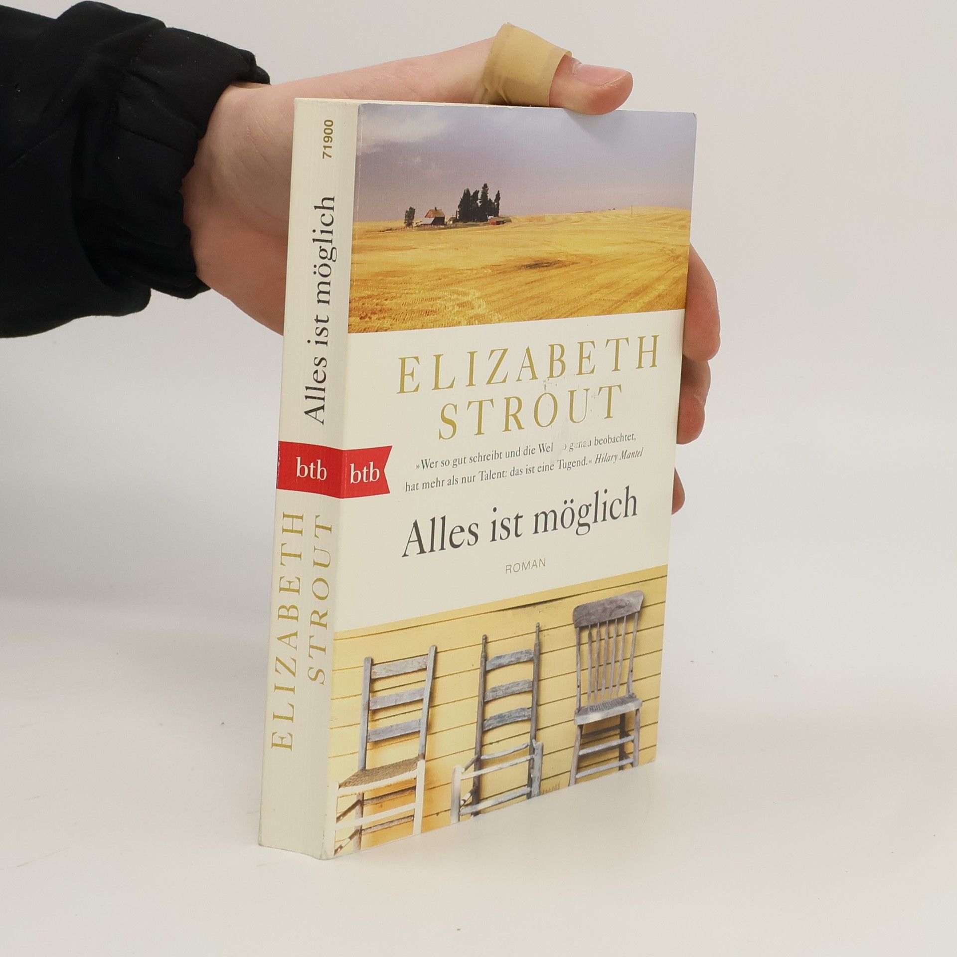 Elizabeth Strout Alles ist möglich