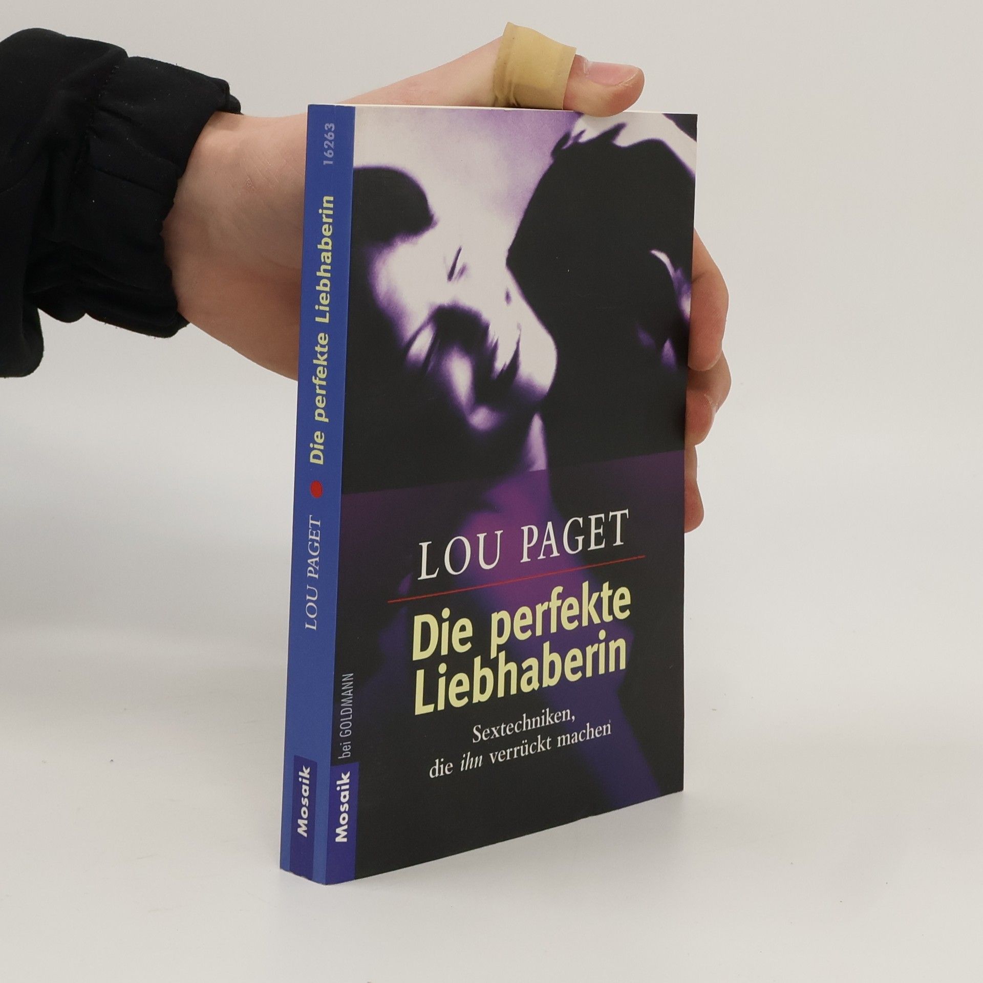 Lou Paget Die perfekte Liebhaberin