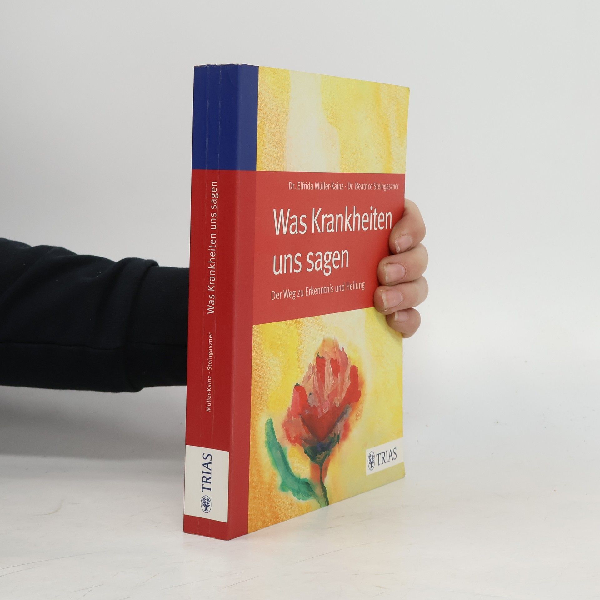 Elfrida Müller-Kainz Was Krankheiten uns sagen