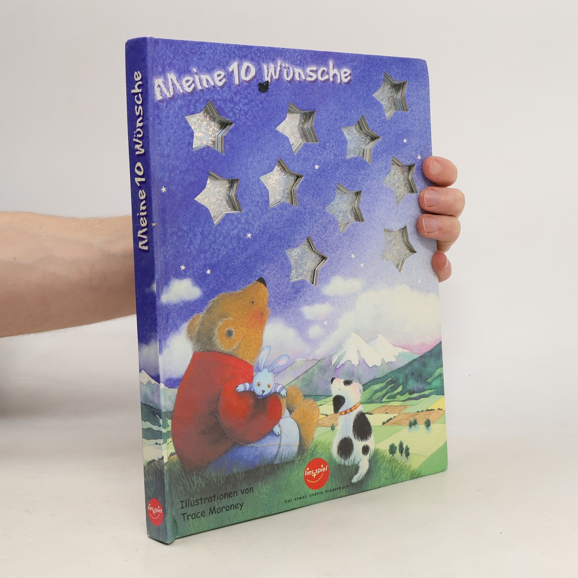 Meine 10 Wünsche (Das etwas andere Kinderbuch)