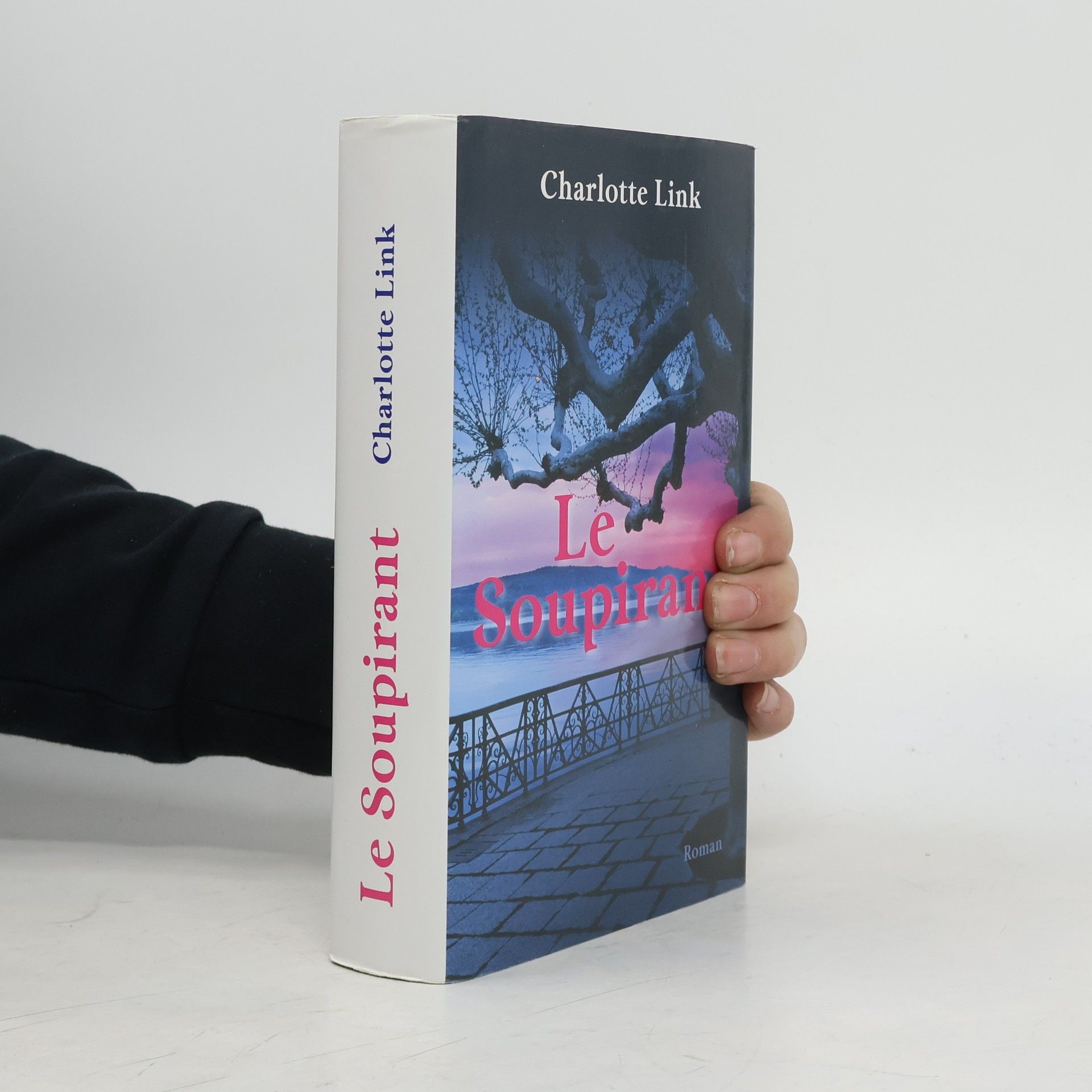 Charlotte Link Le soupirant