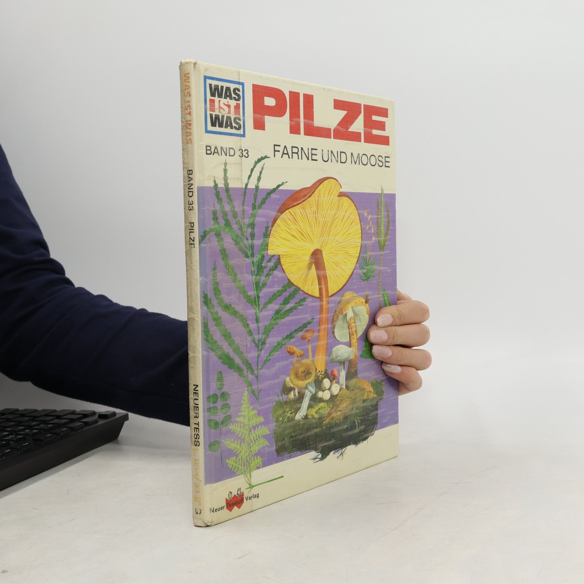 Andreas Zeugner Pilze, Moose und Farne