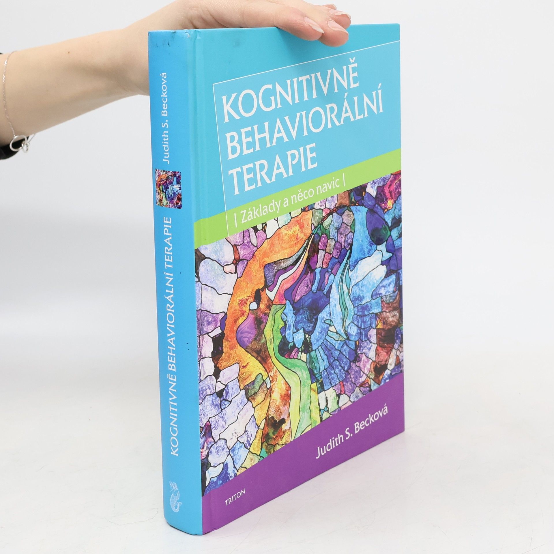 Autorenkollektiv Kognitivně behaviorální terapie. Základy a něco navíc