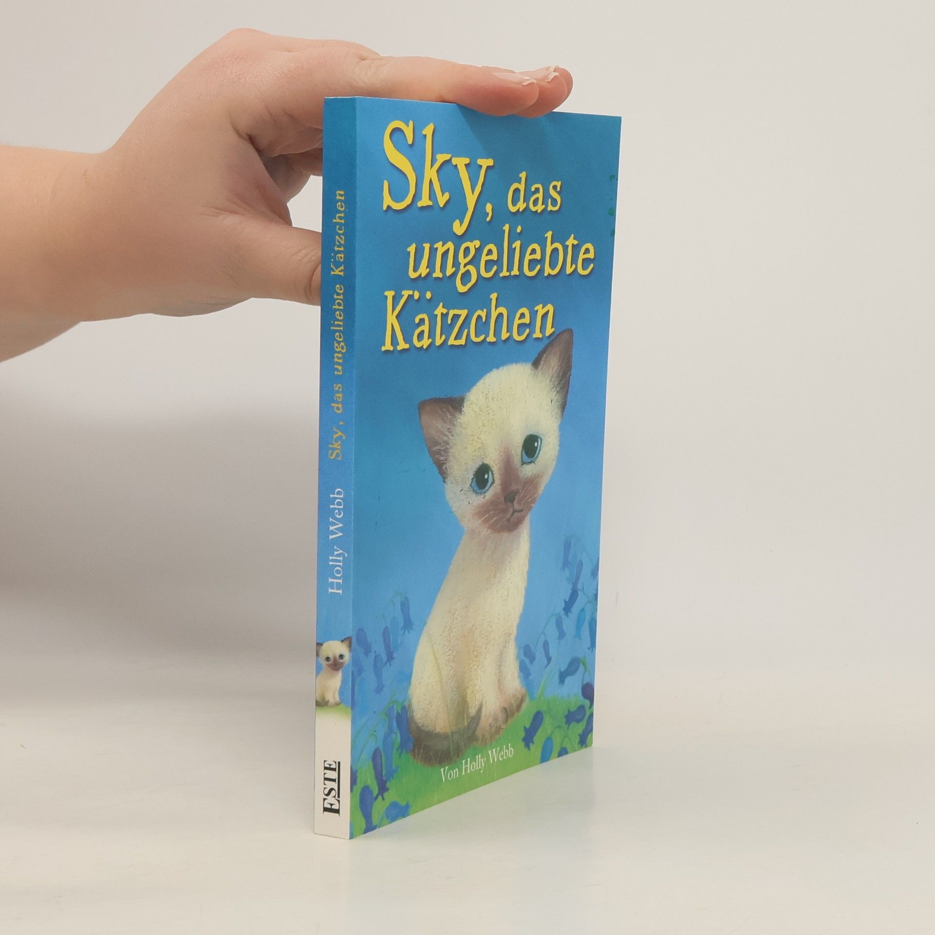 Holly Webb Sky, das ungeliebte Kätzchen