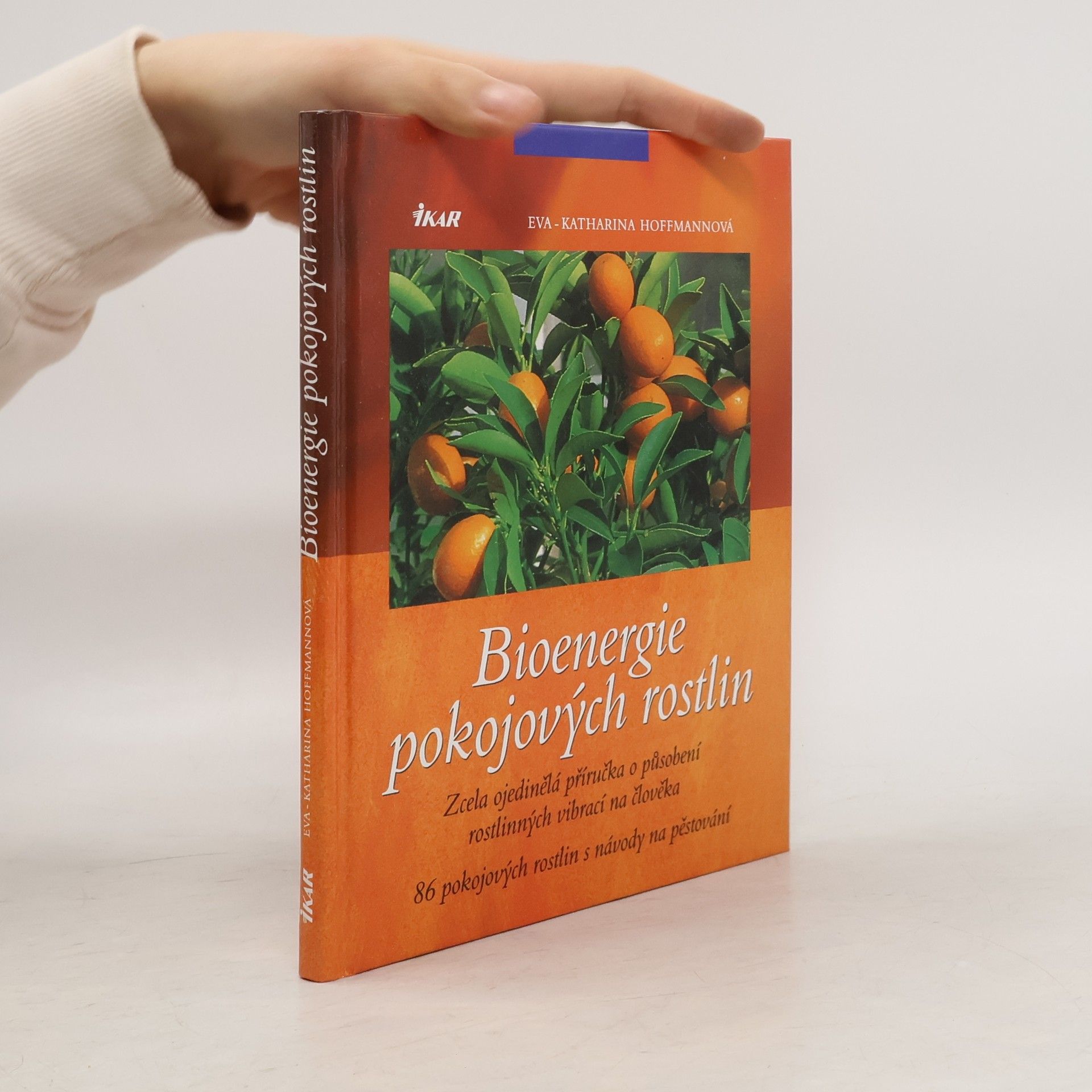 Eva Katharina Hoffmann Bioenergie pokojových rostlin