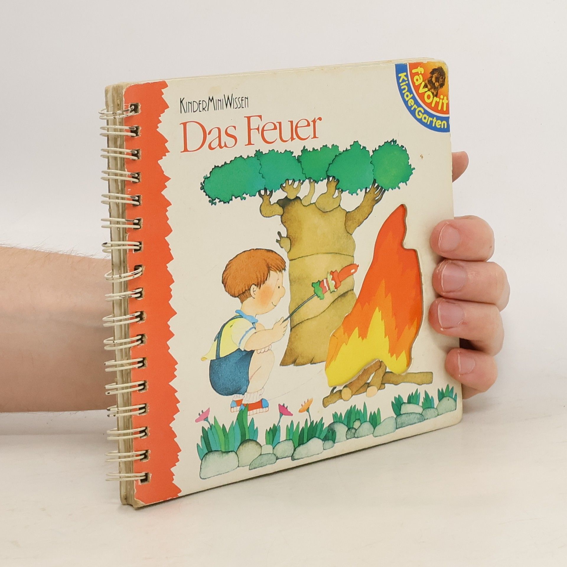 Autorenkollektiv Das Feuer