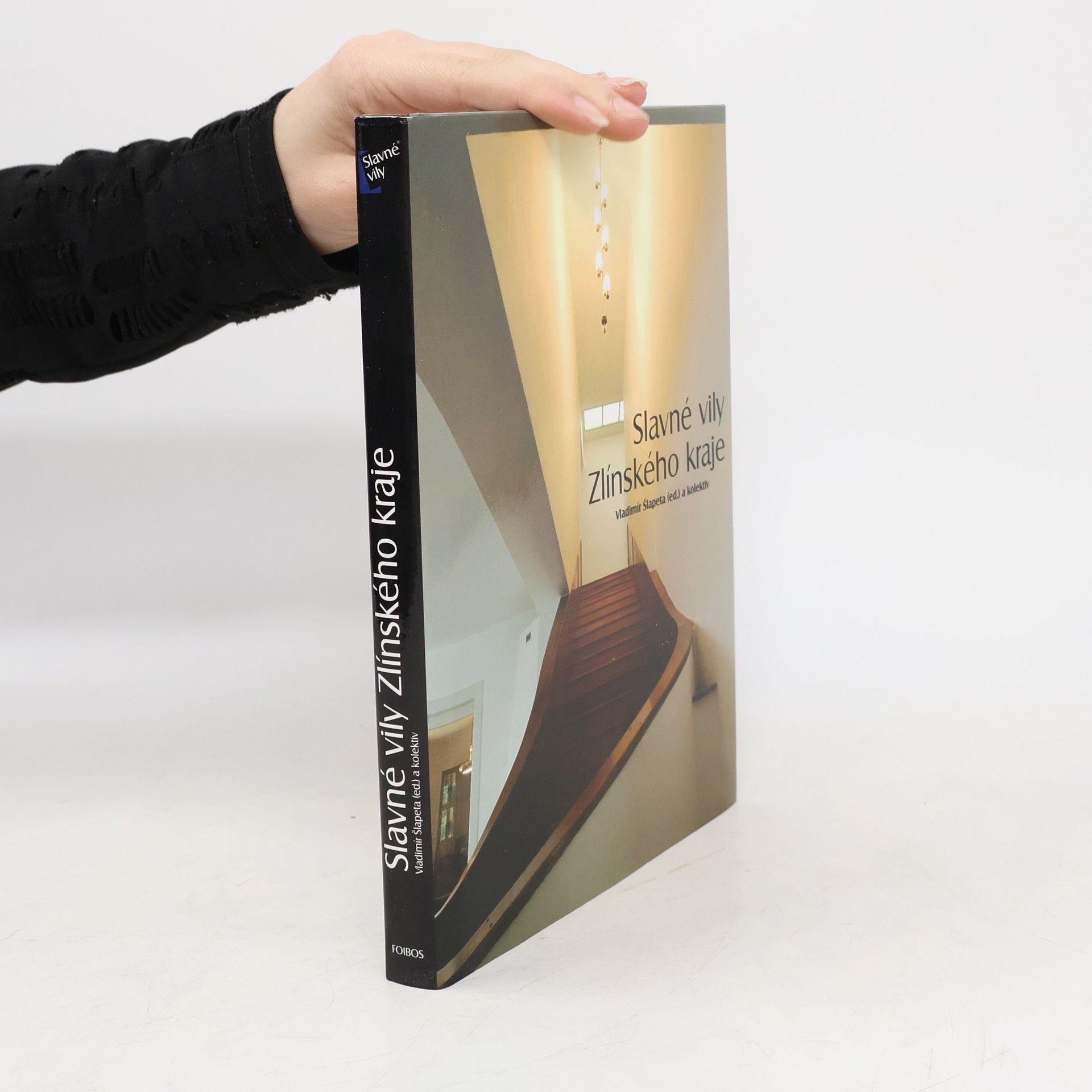 Vladimír Šlapeta Slavné vily Zlínského kraje