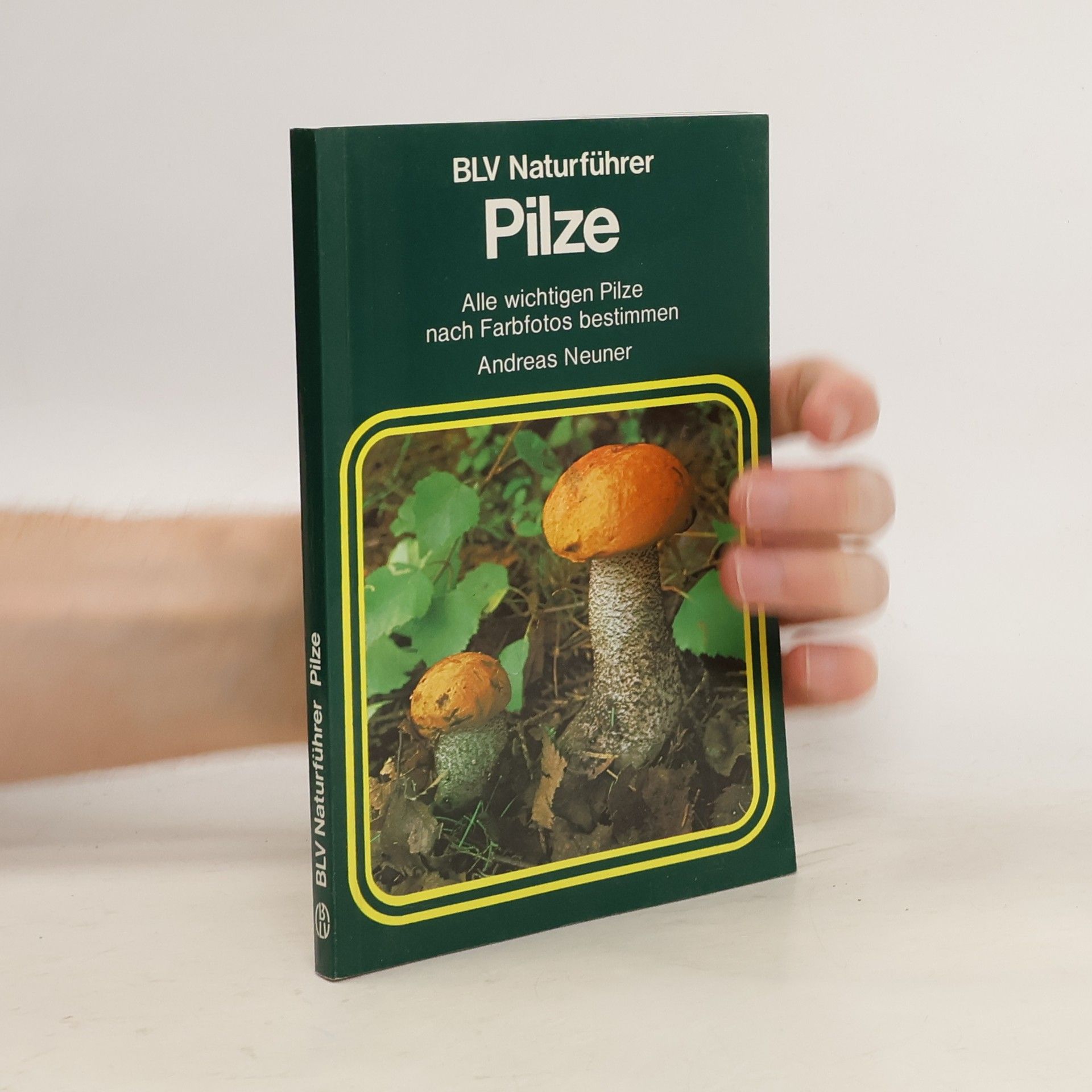 Elfrune Wendelberger Pilze