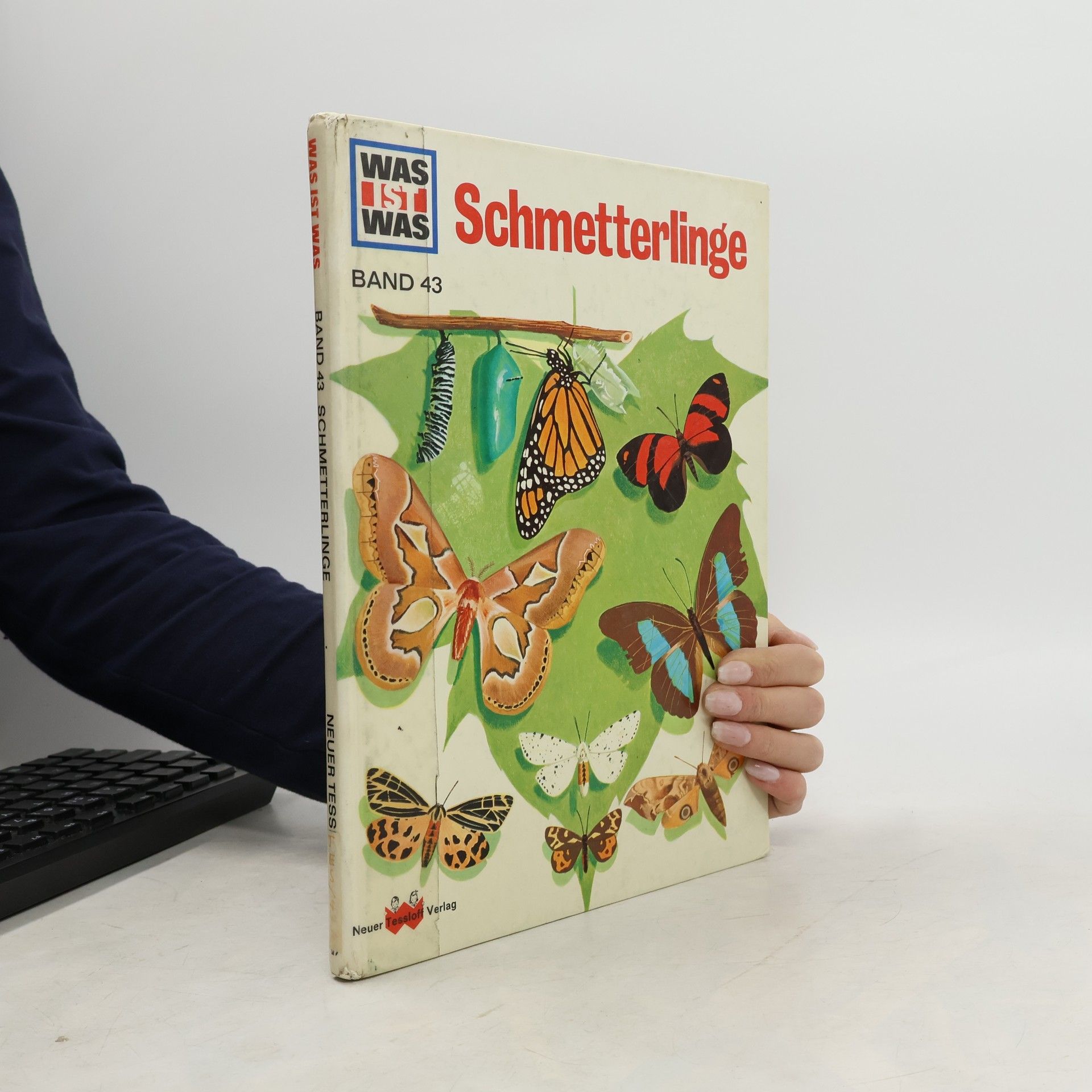 Ronald N. Rood Schmetterlinge