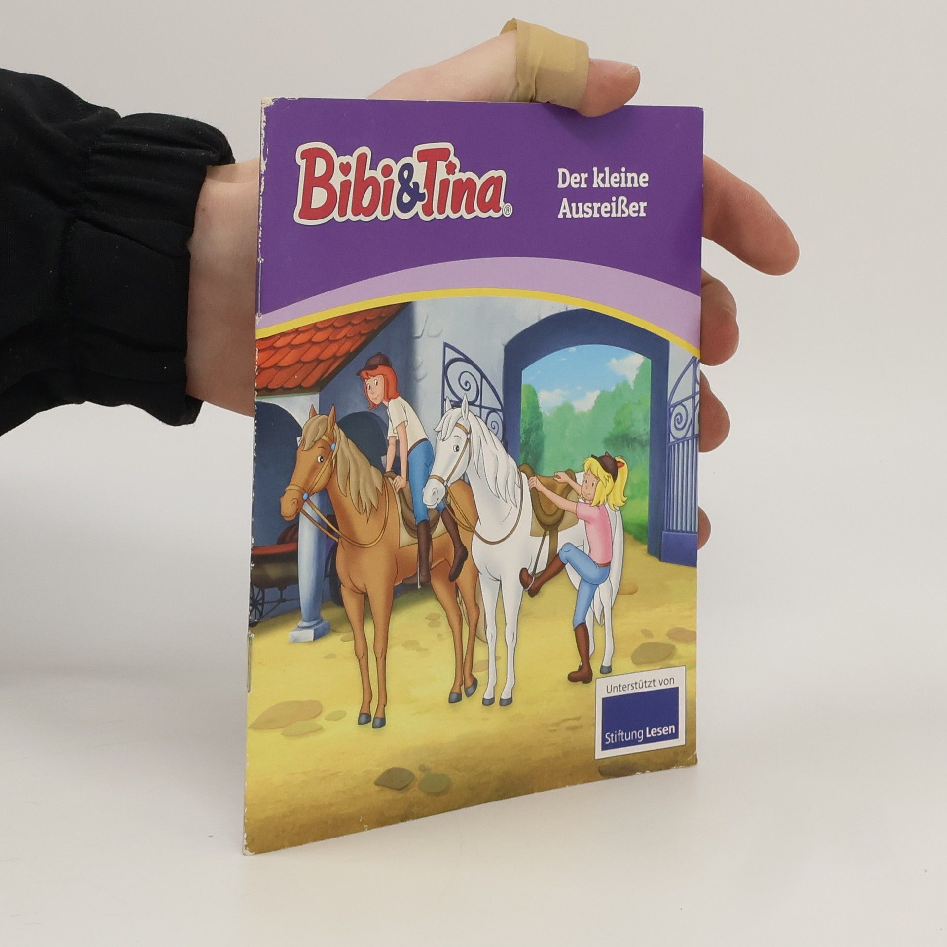 Collectif d'auteurs Bibi und Tina: Der kleine Ausreisser