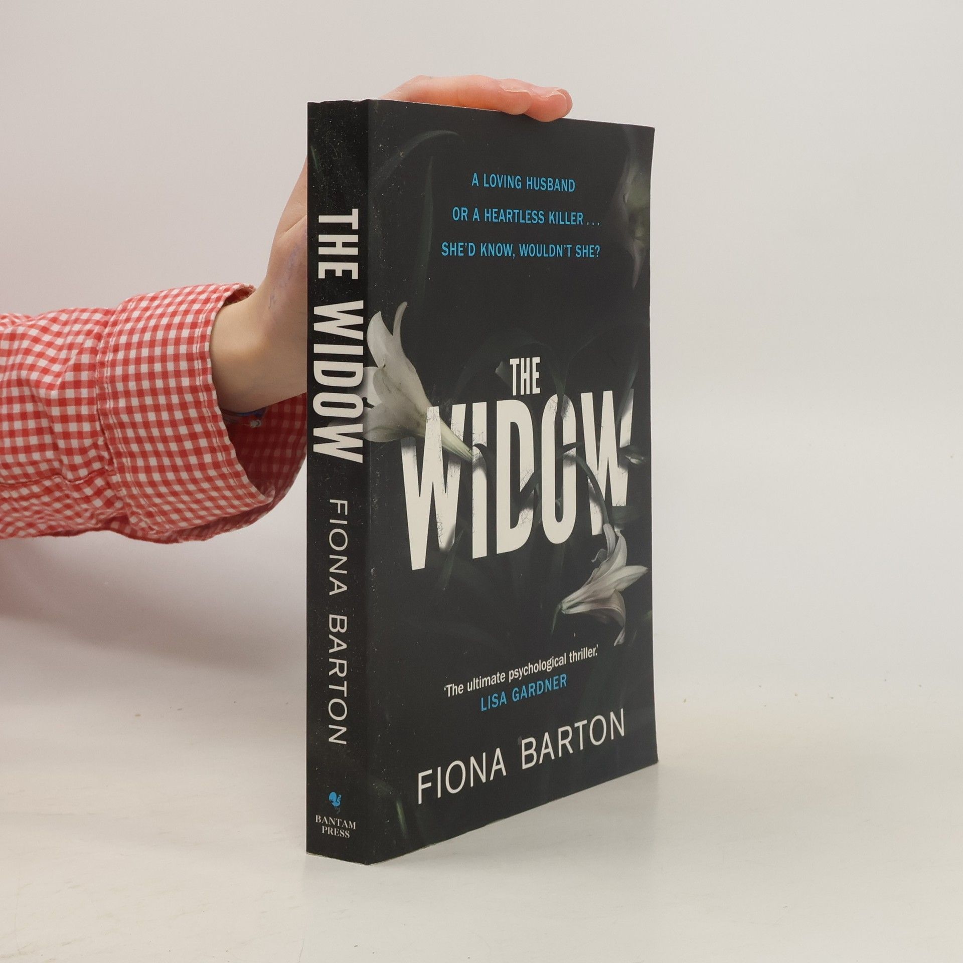 Fiona Barton The Widow