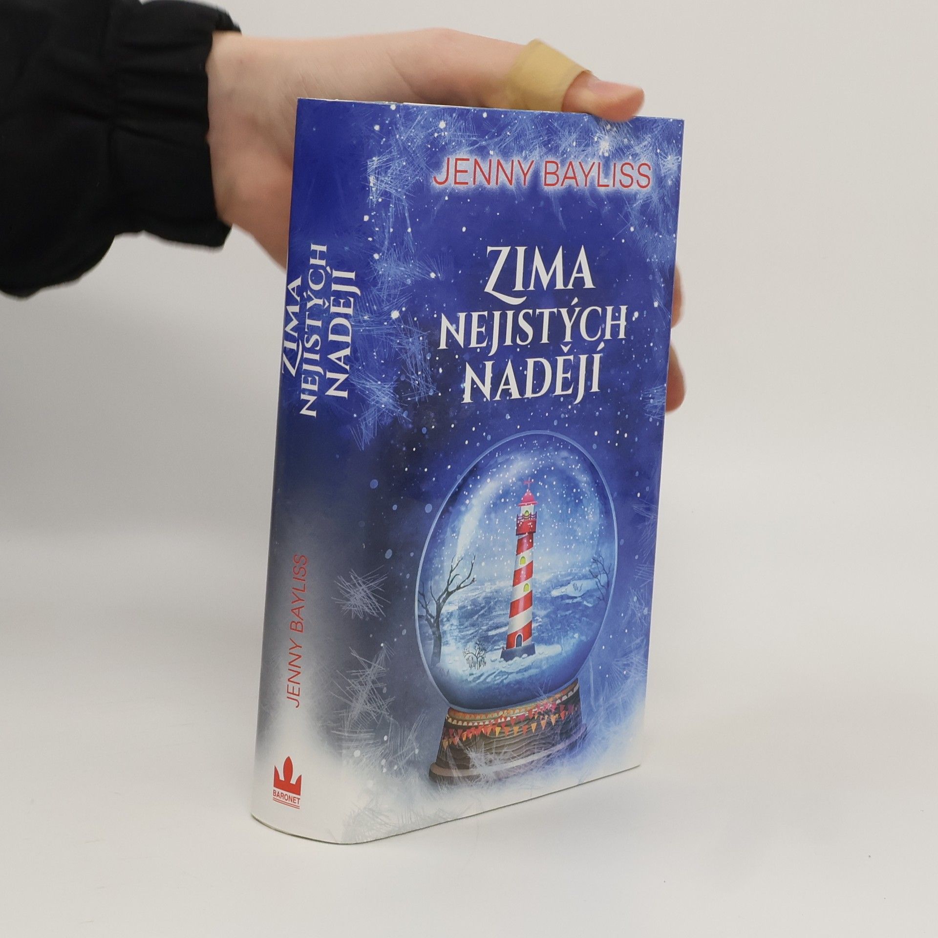 Jenny Bayliss Zima nejistých nadějí