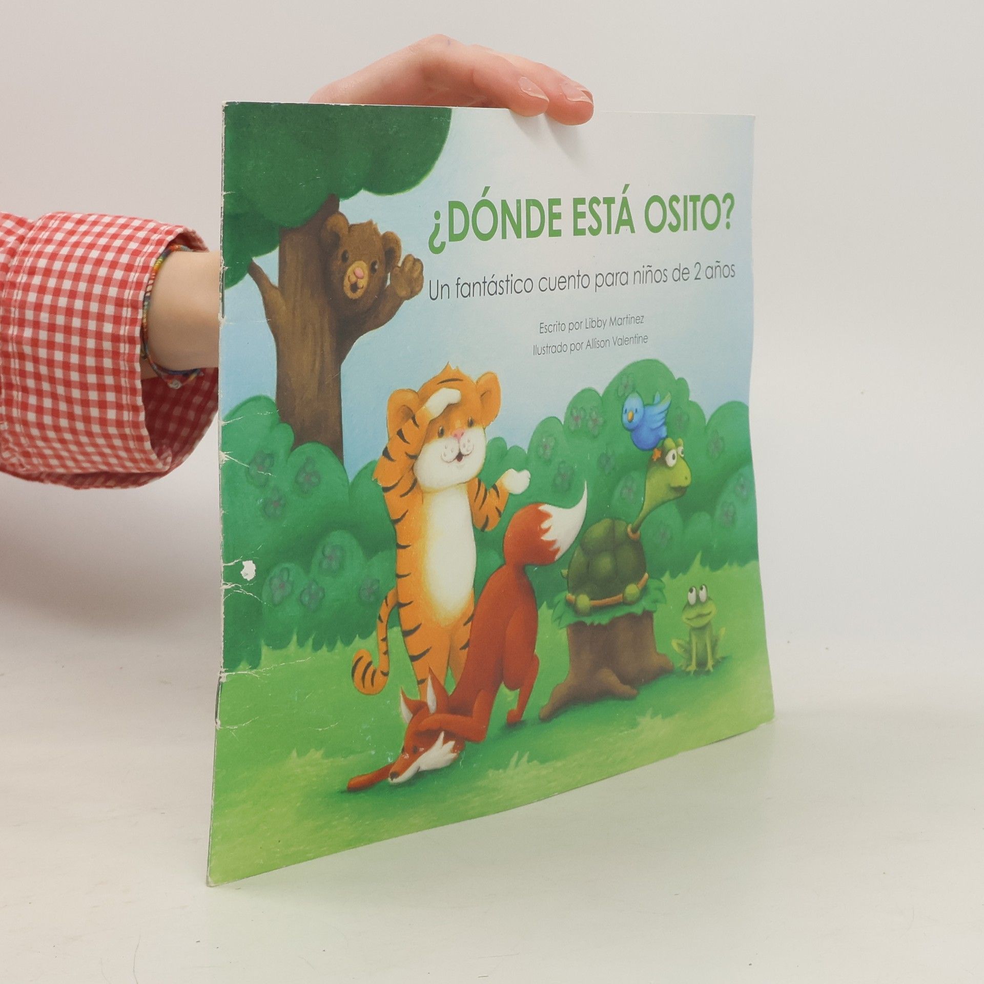 ¿Dónde está Osito?