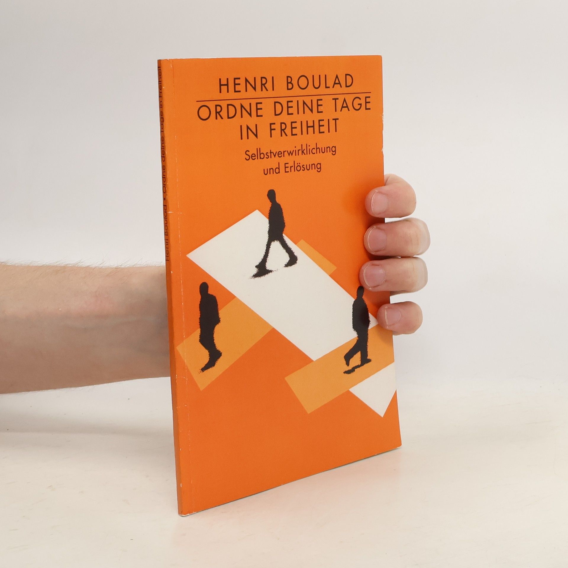 Henri Boulad Ordne deine Tage in Freiheit