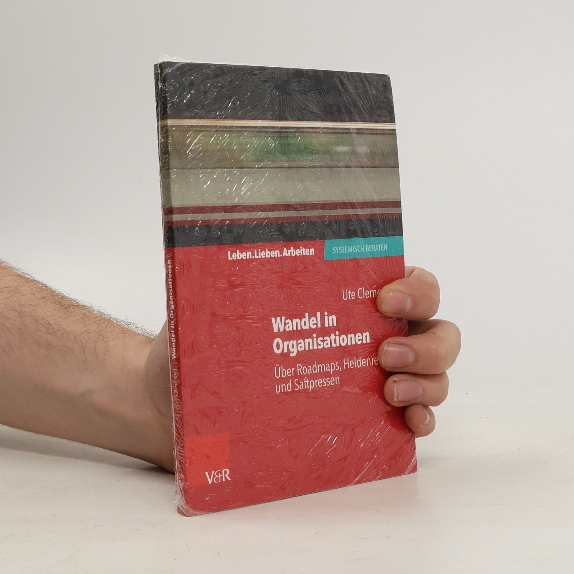 Ute Clement Wandel in Organisationen