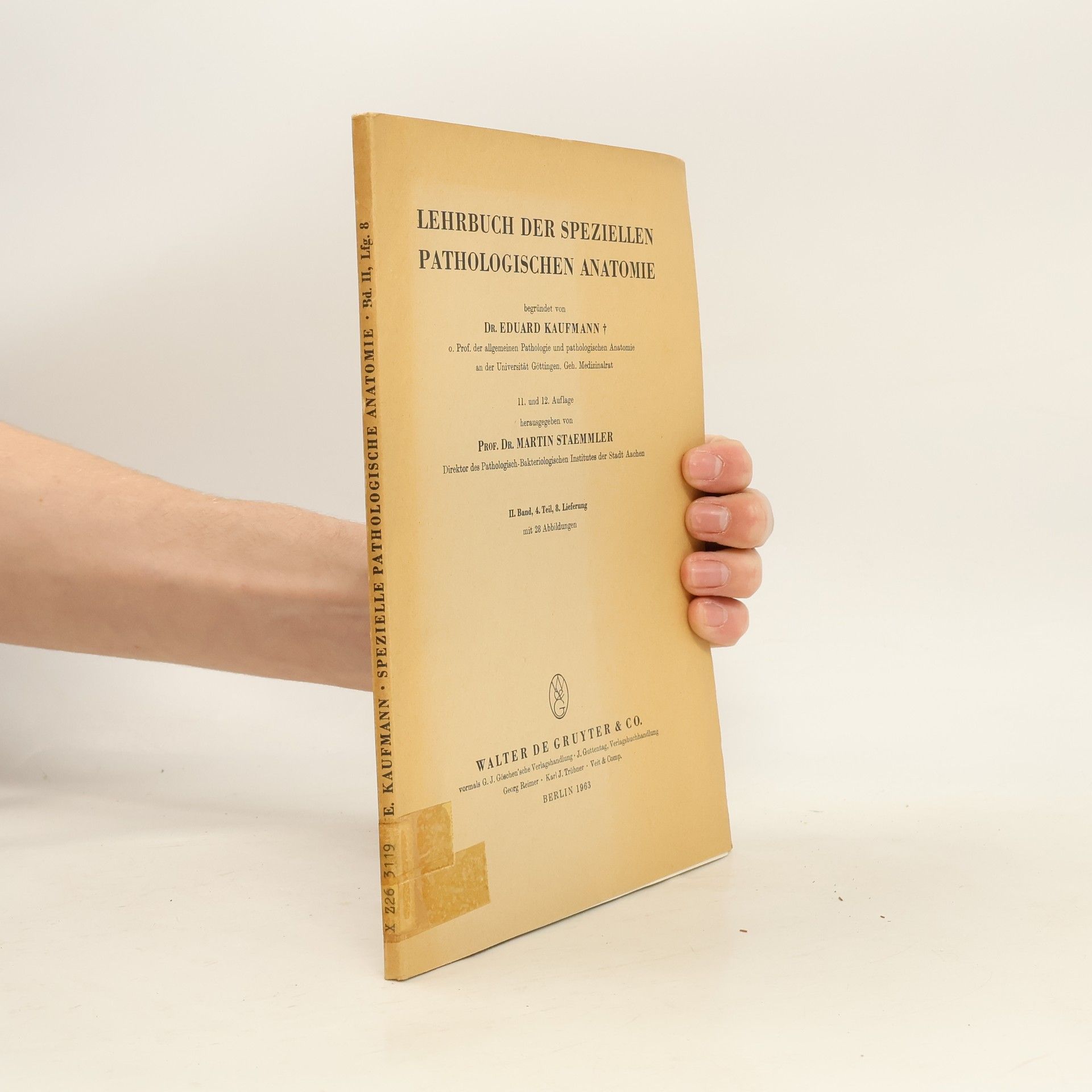 Lehrbuch der speziellen pathologischen Anatomie II, Lfg. 8