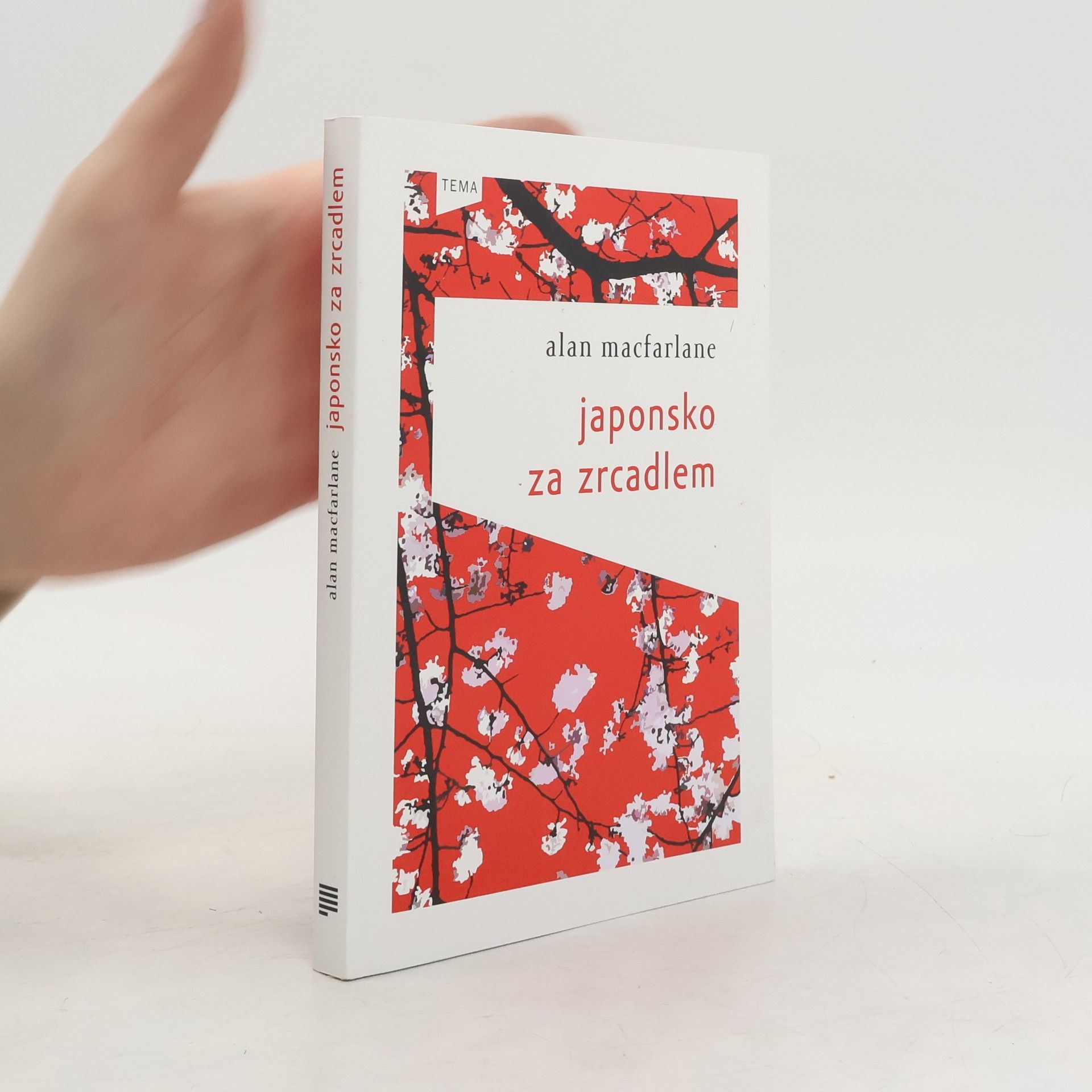 Alan Macfarlane Japonsko za zrcadlem