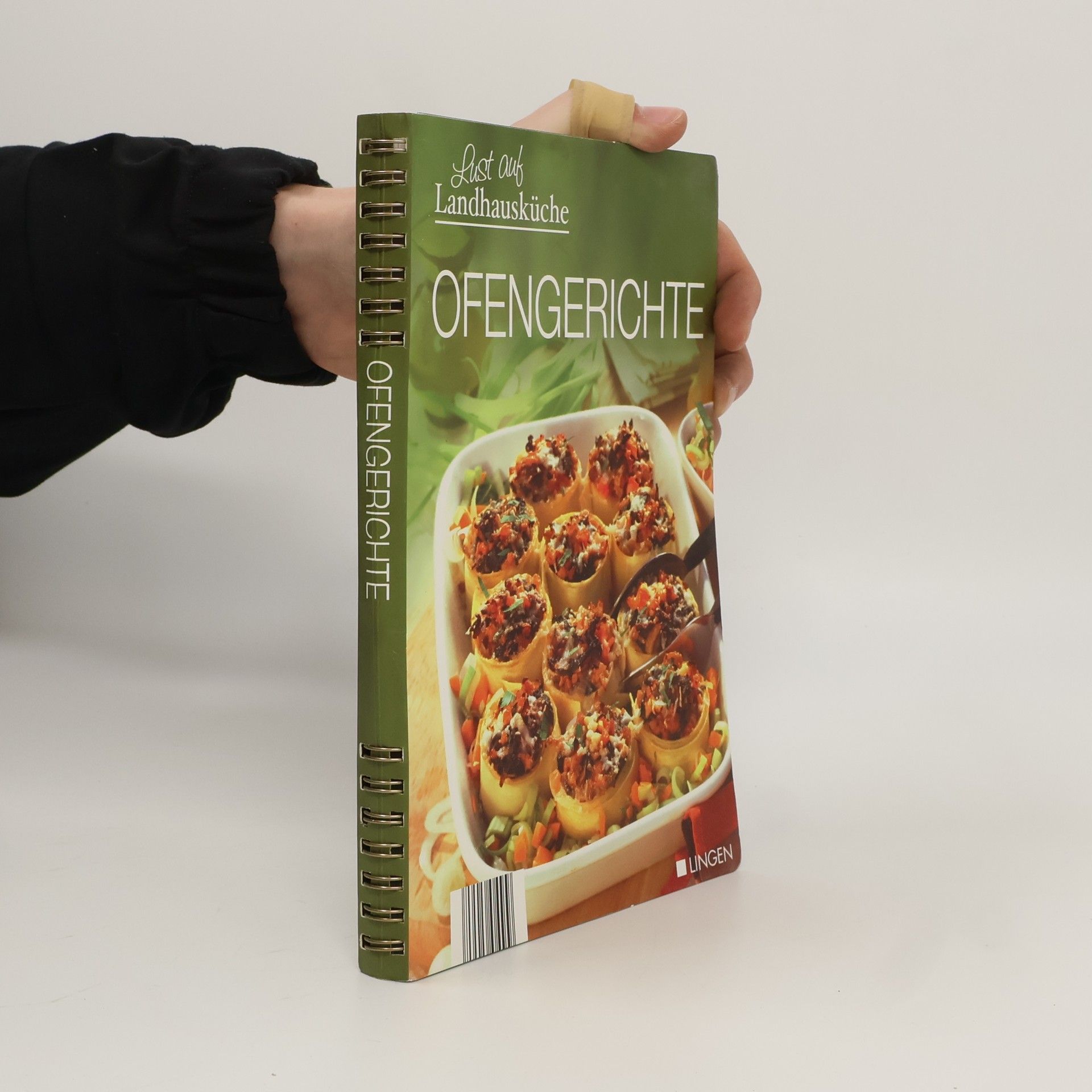 Kolektiv autorů Ofengerichte