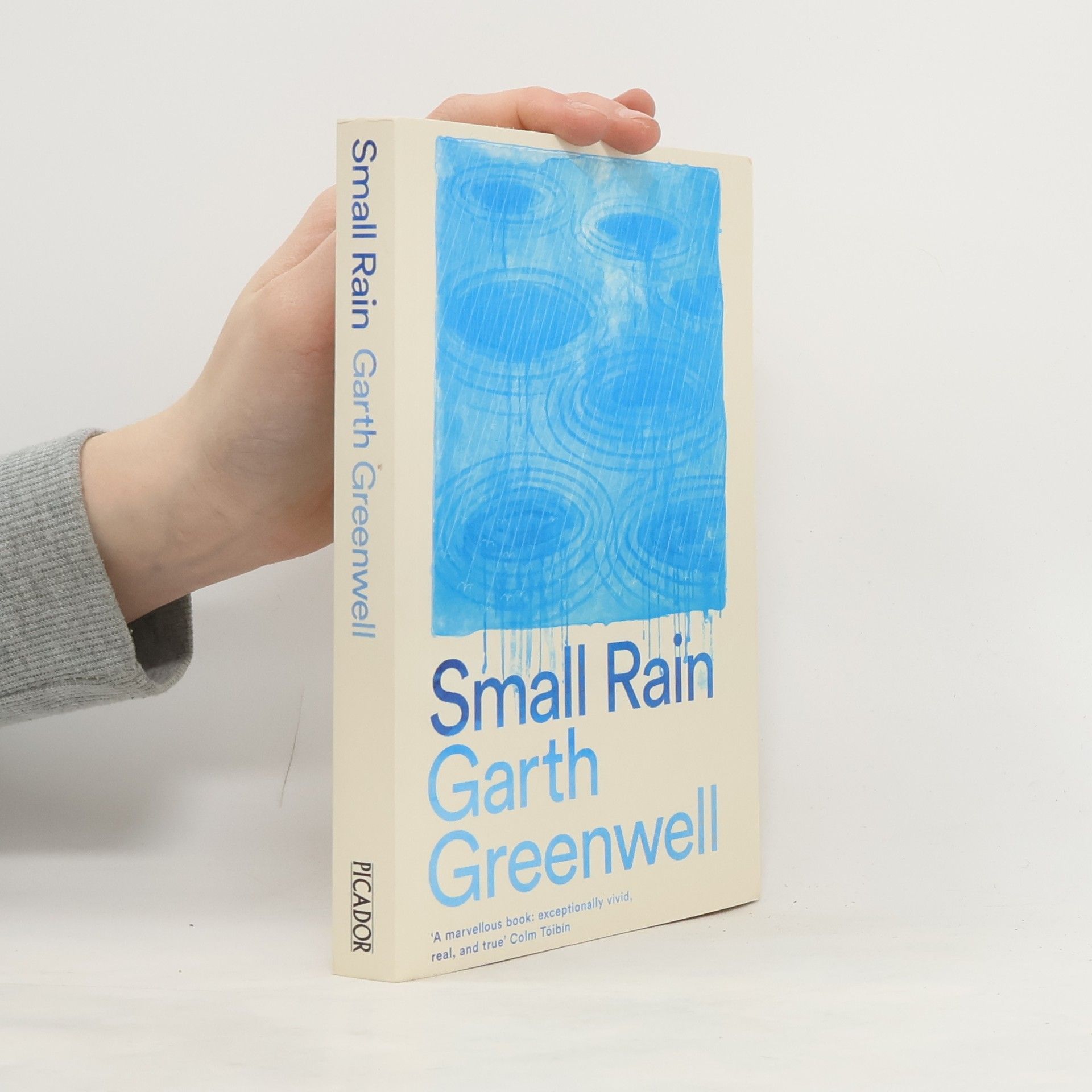 Garth Greenwell Small Rain