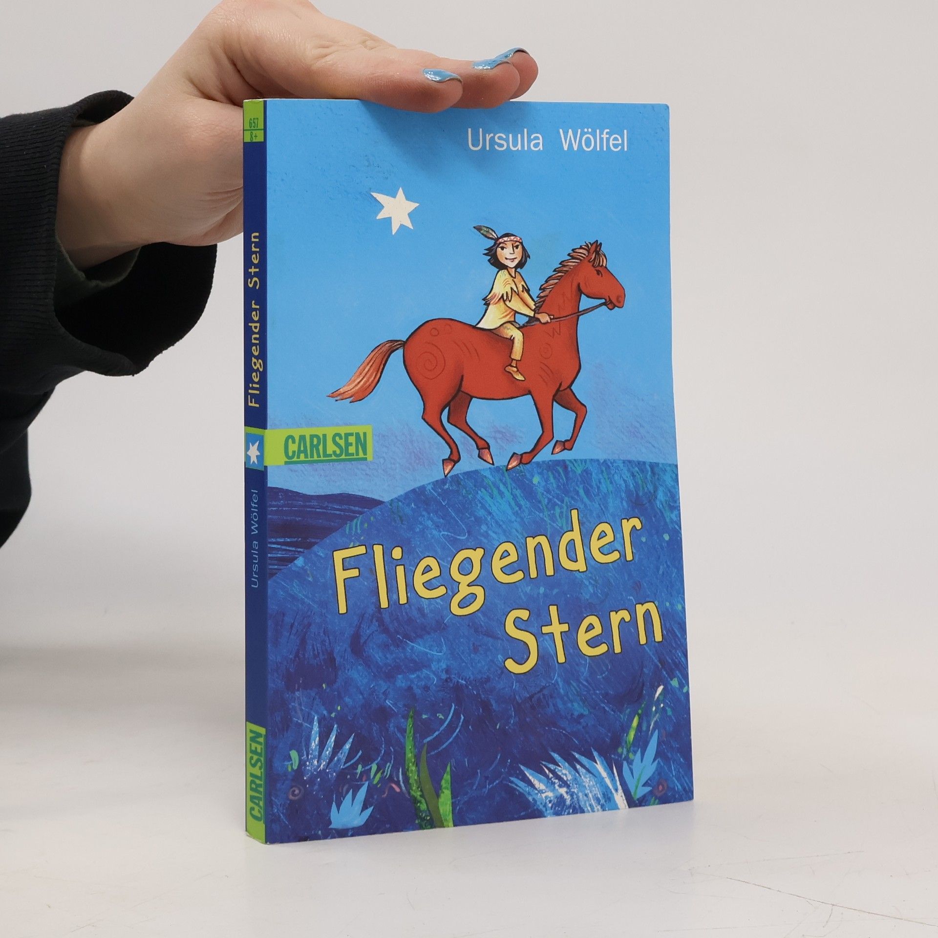 Ursula Wölfel Fliegender Stern