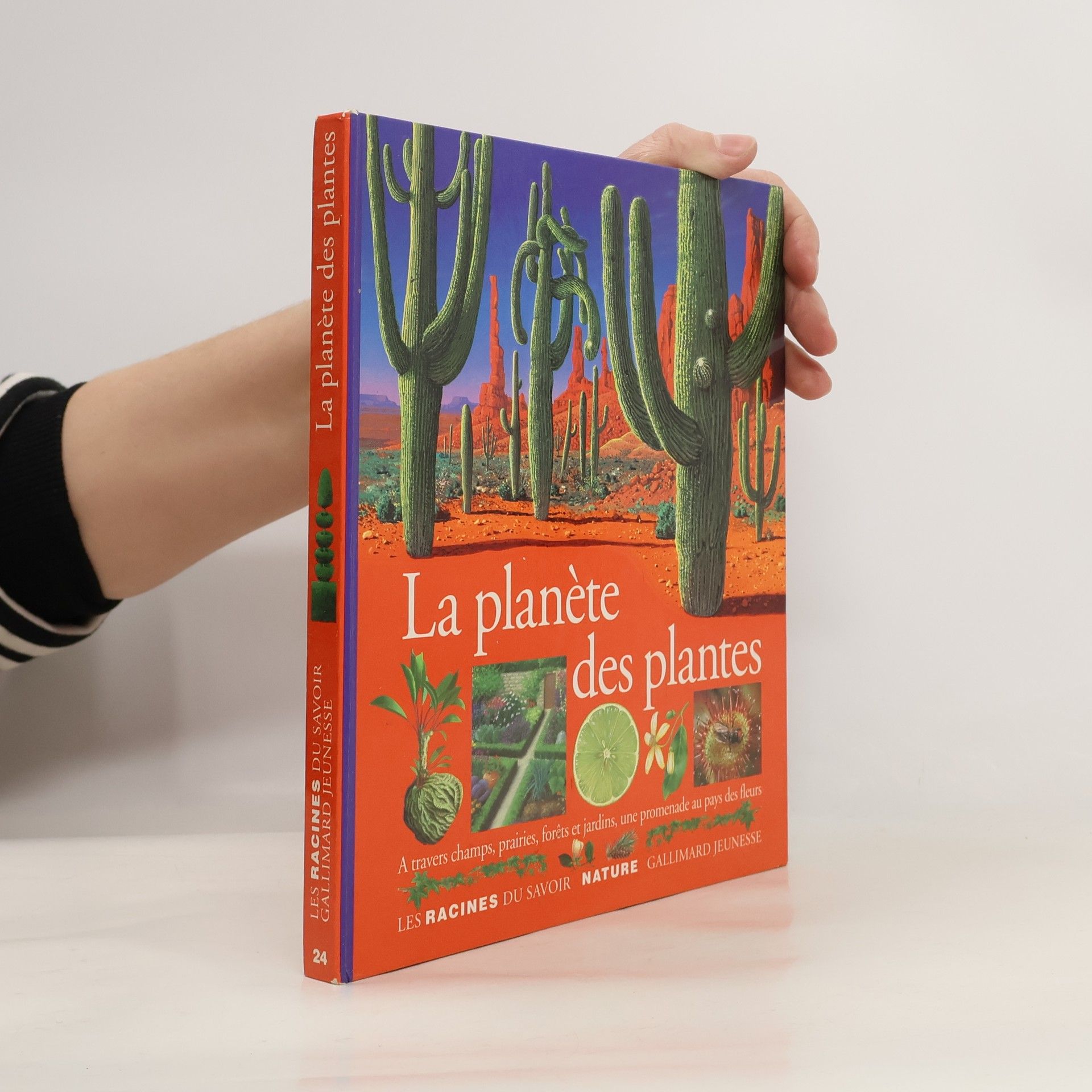 La planète des plantes