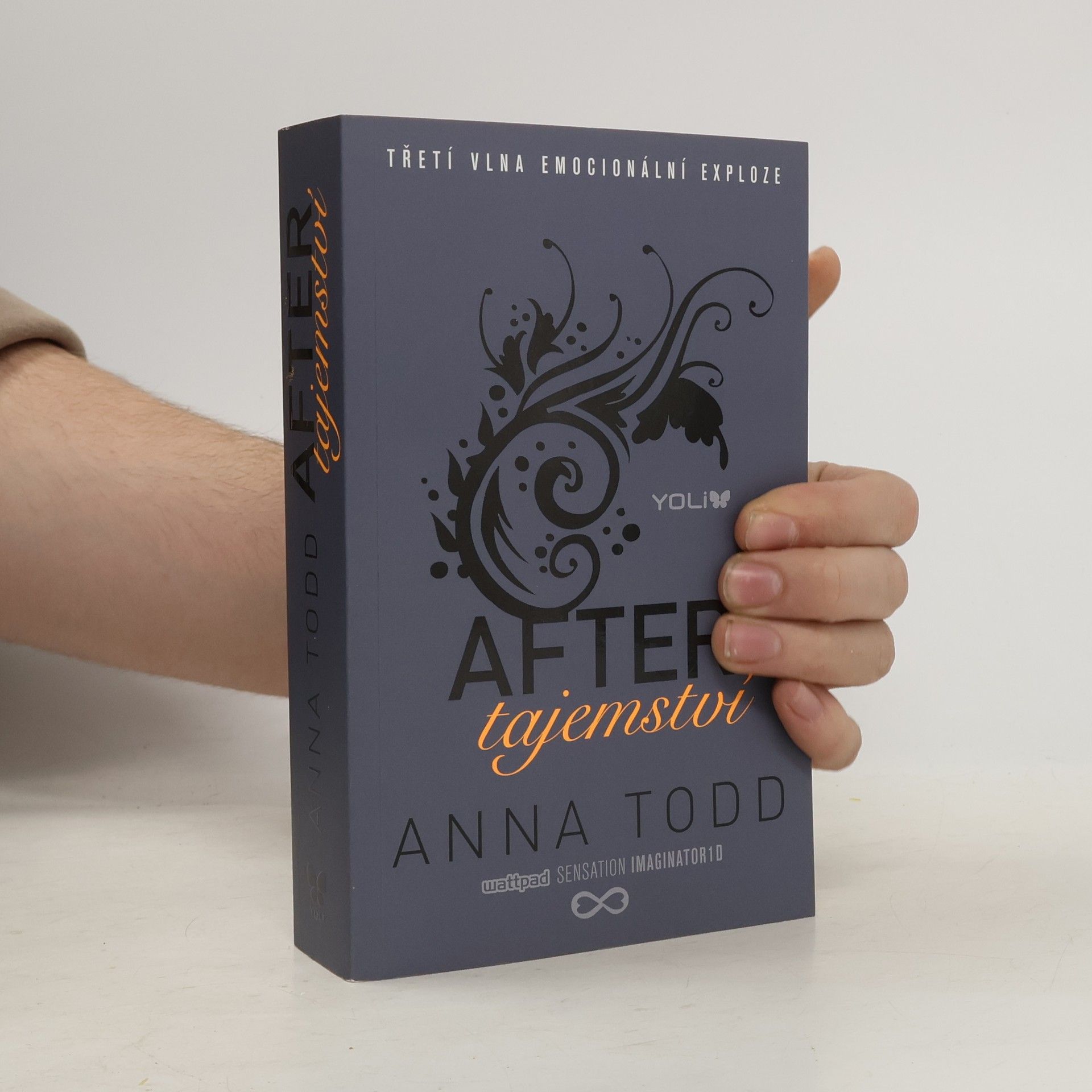 Anna Todd After. Tajemství