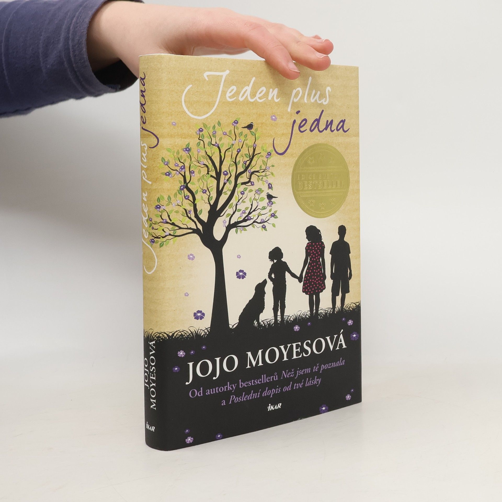 Jojo Moyes Jeden plus jedna