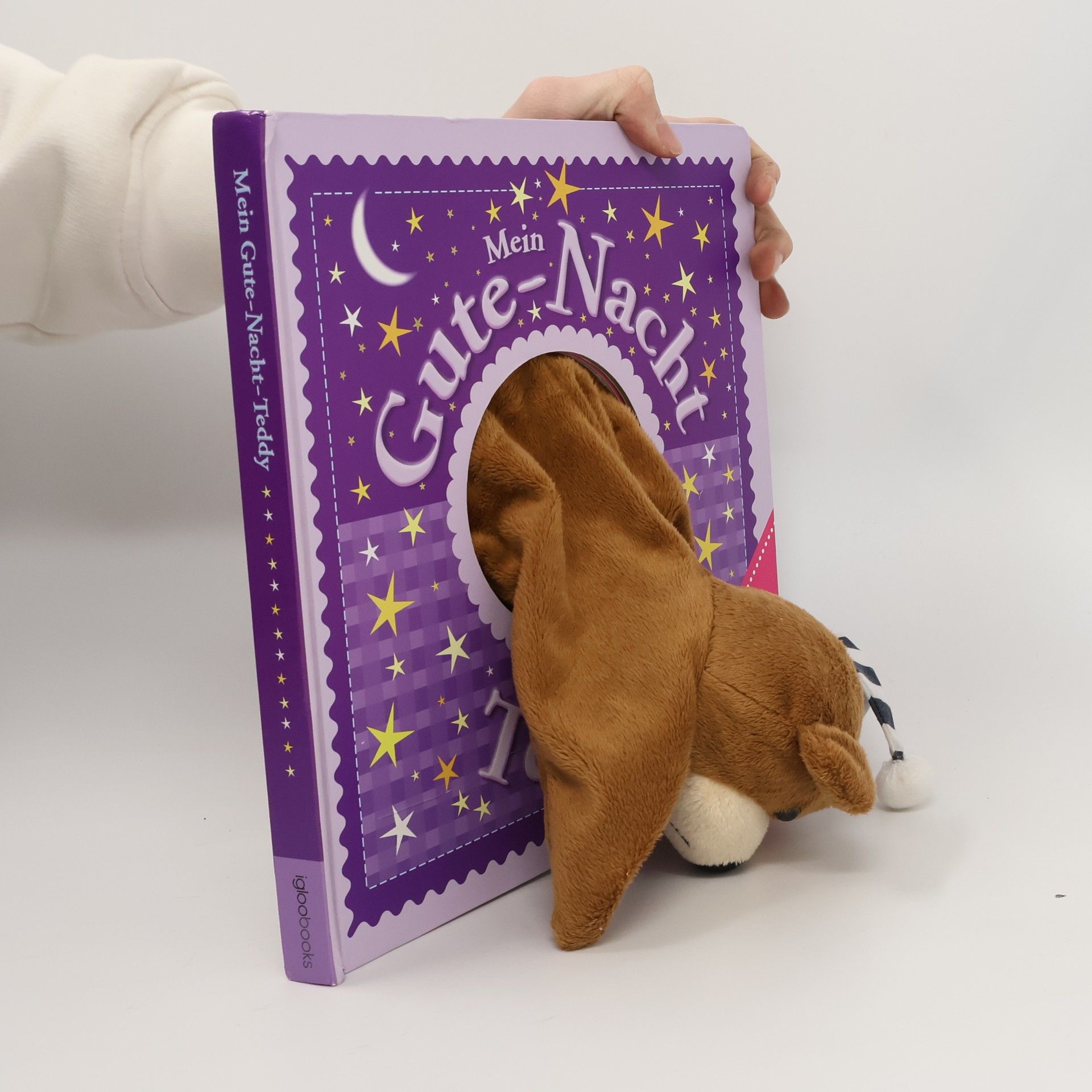 Autorenkollektiv Mein Gute-Nacht-Teddy