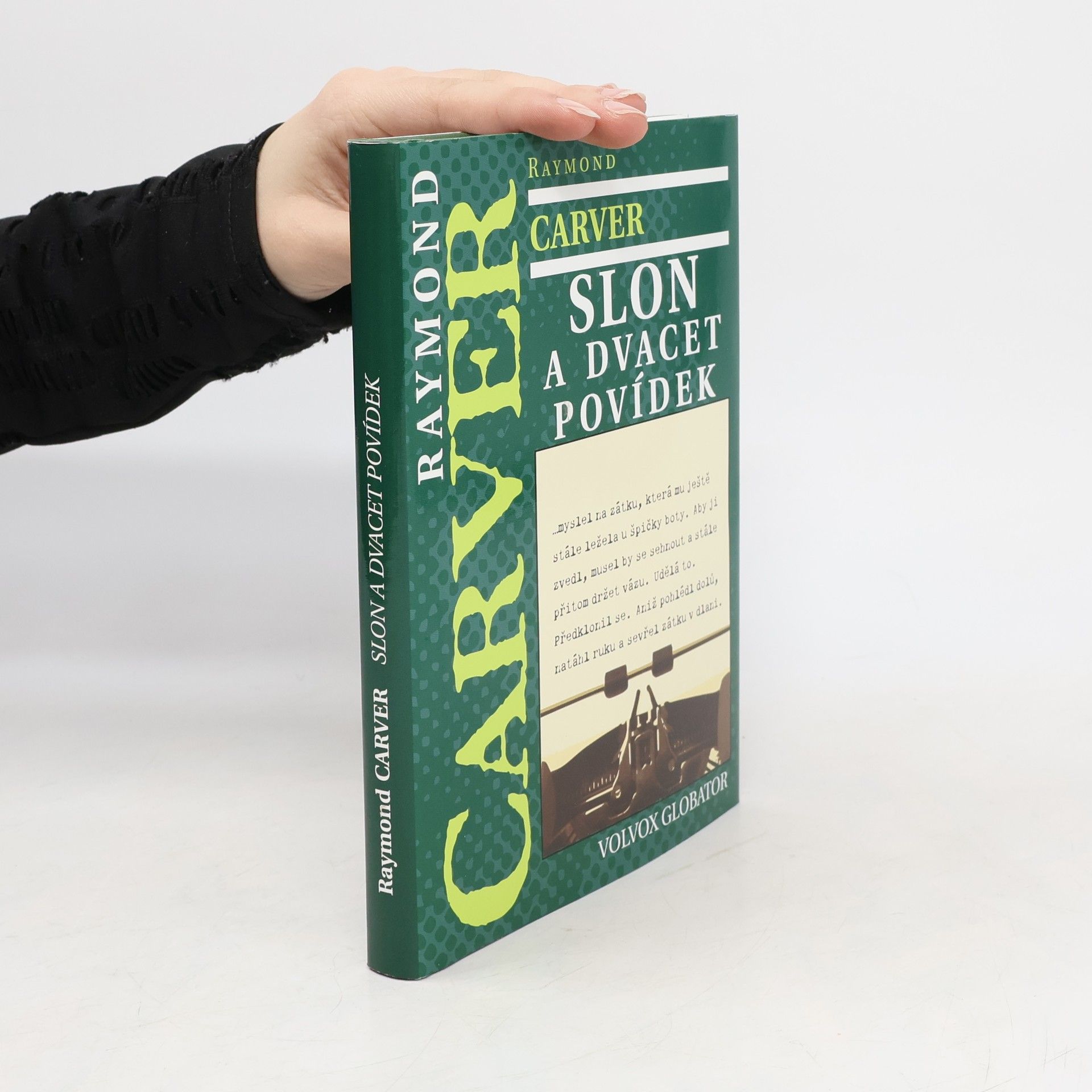 Raymond Carver Slon a dvacet povídek