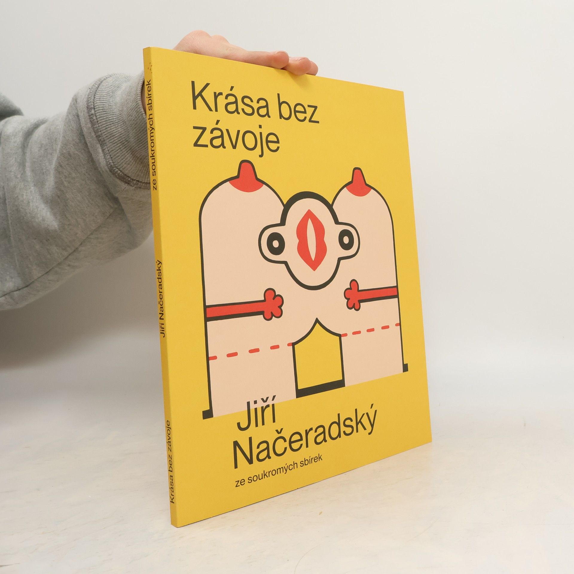 Kolektív autorov Krása bez závoje : Jiří Načeradský