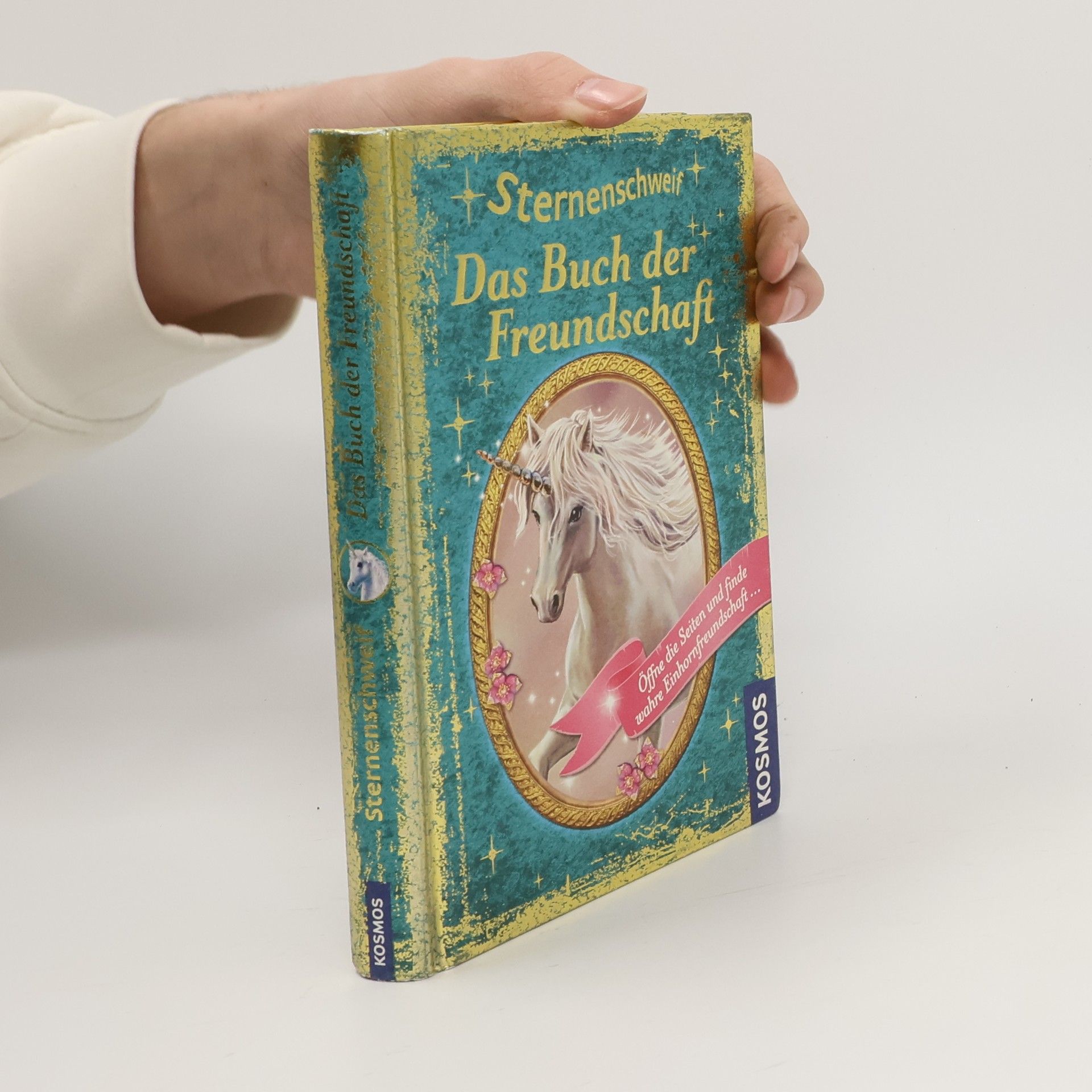 Linda Chapman Sternenschweif. Das Buch der Ferundschaft