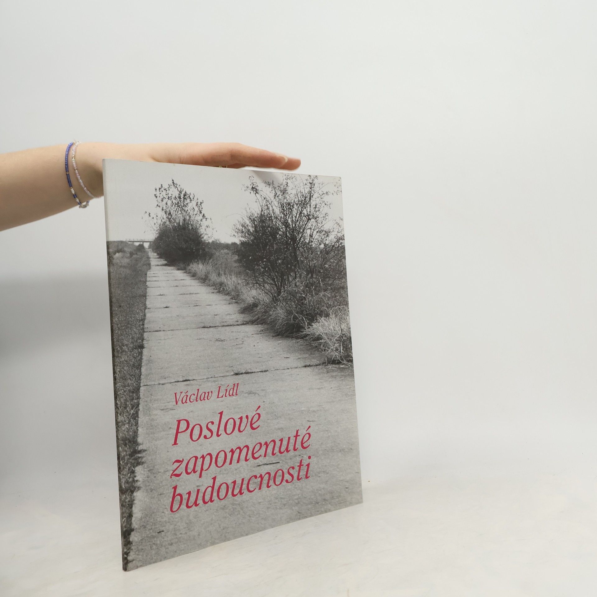 Poslové zapomenuté budoucnosti: Výstavba dálnic v letech 1938-1950 na území Čech a Moravy