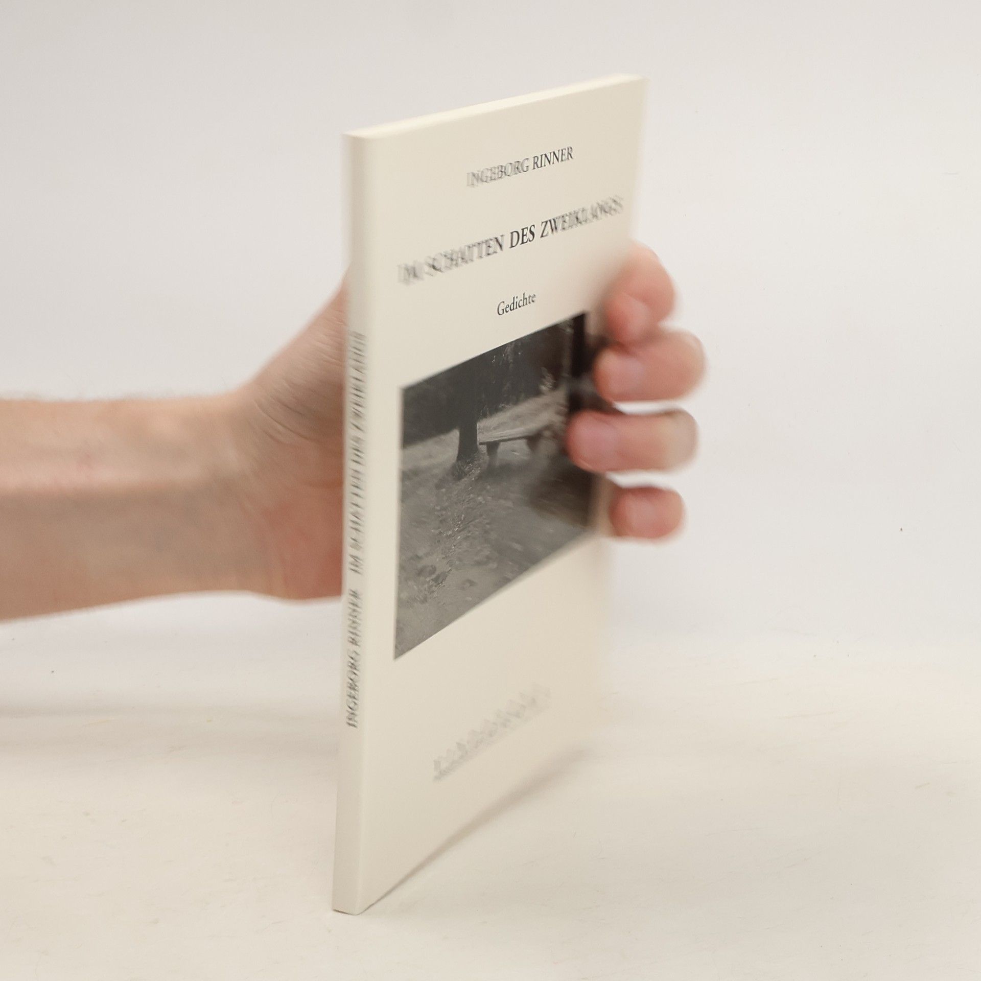 Im Schatten des Zweiklangs