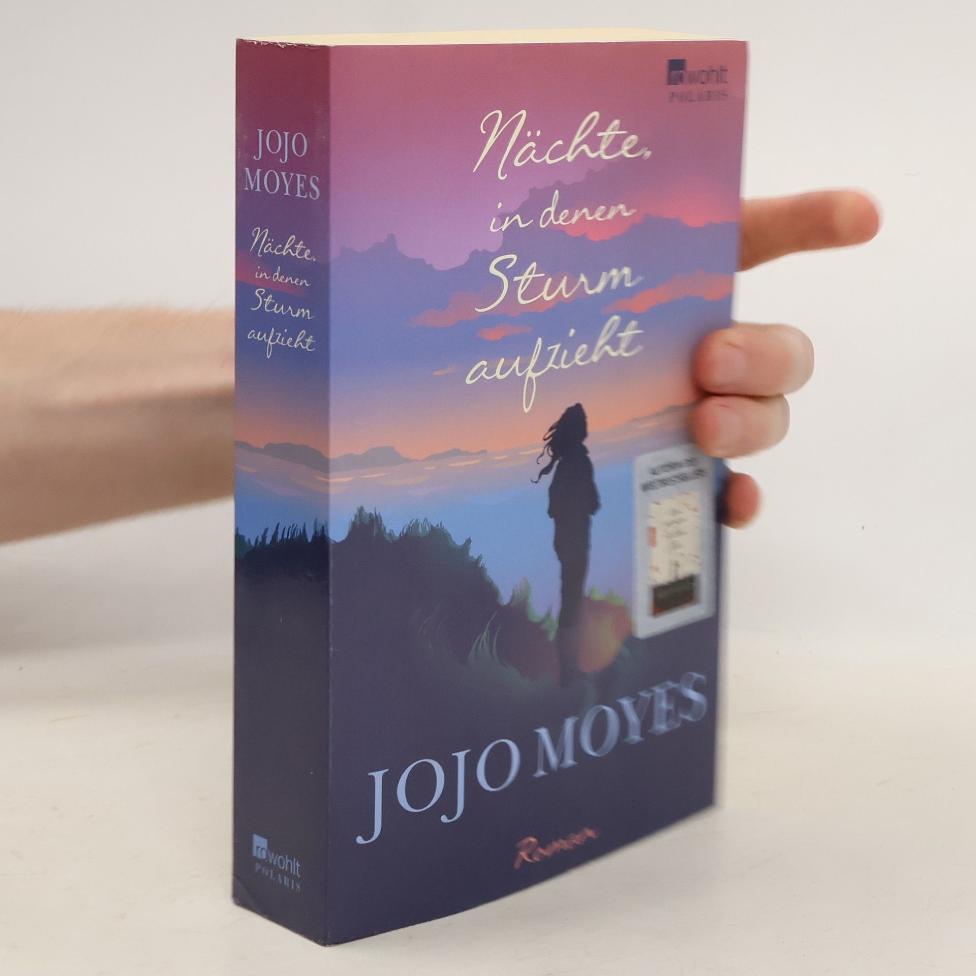 Jojo Moyes Nächte in denen Sturm aufzieht