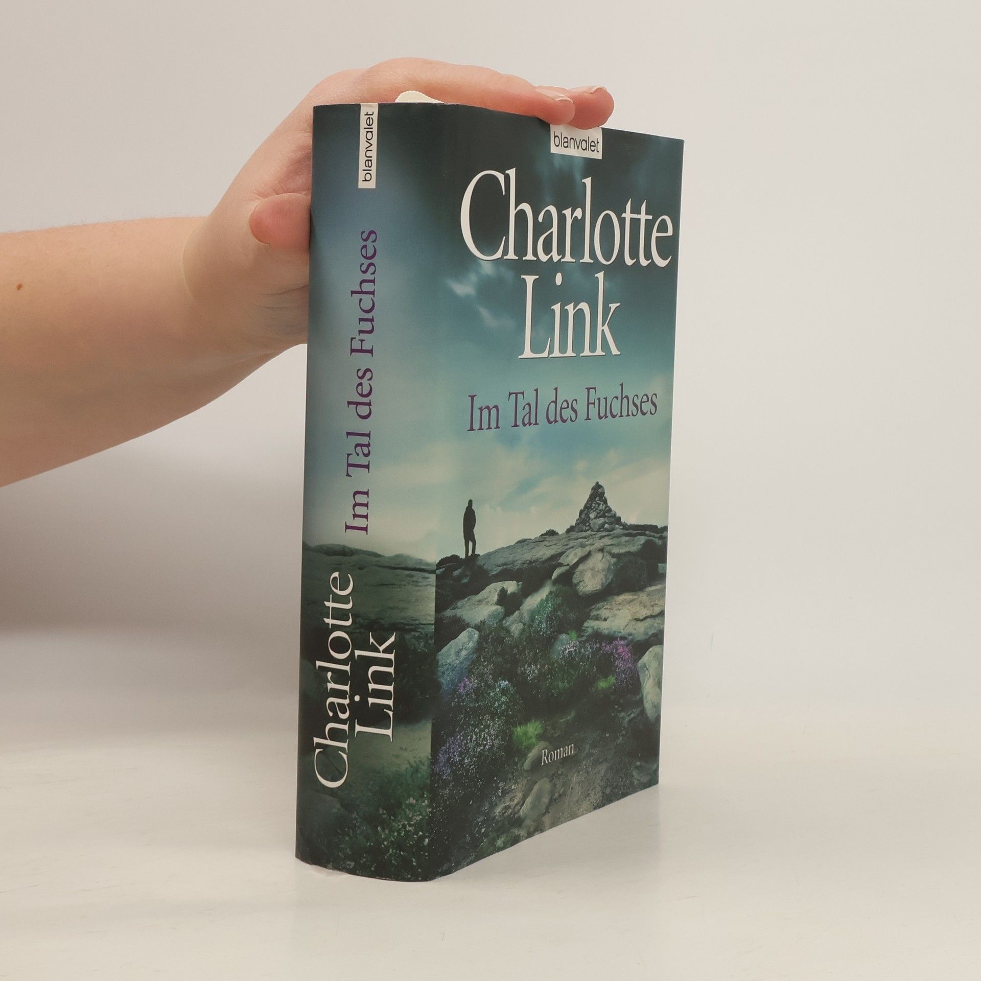 Charlotte Link Im Tal des Fuchses