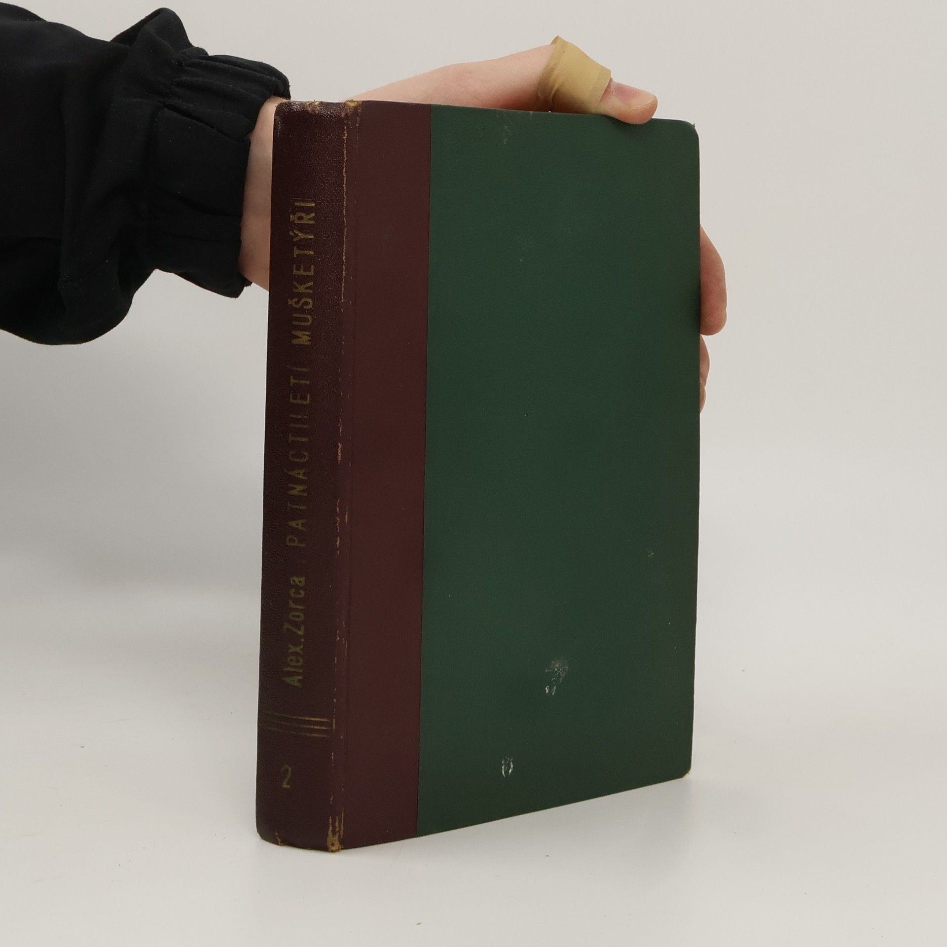 Patnáctiletí mušketýři II