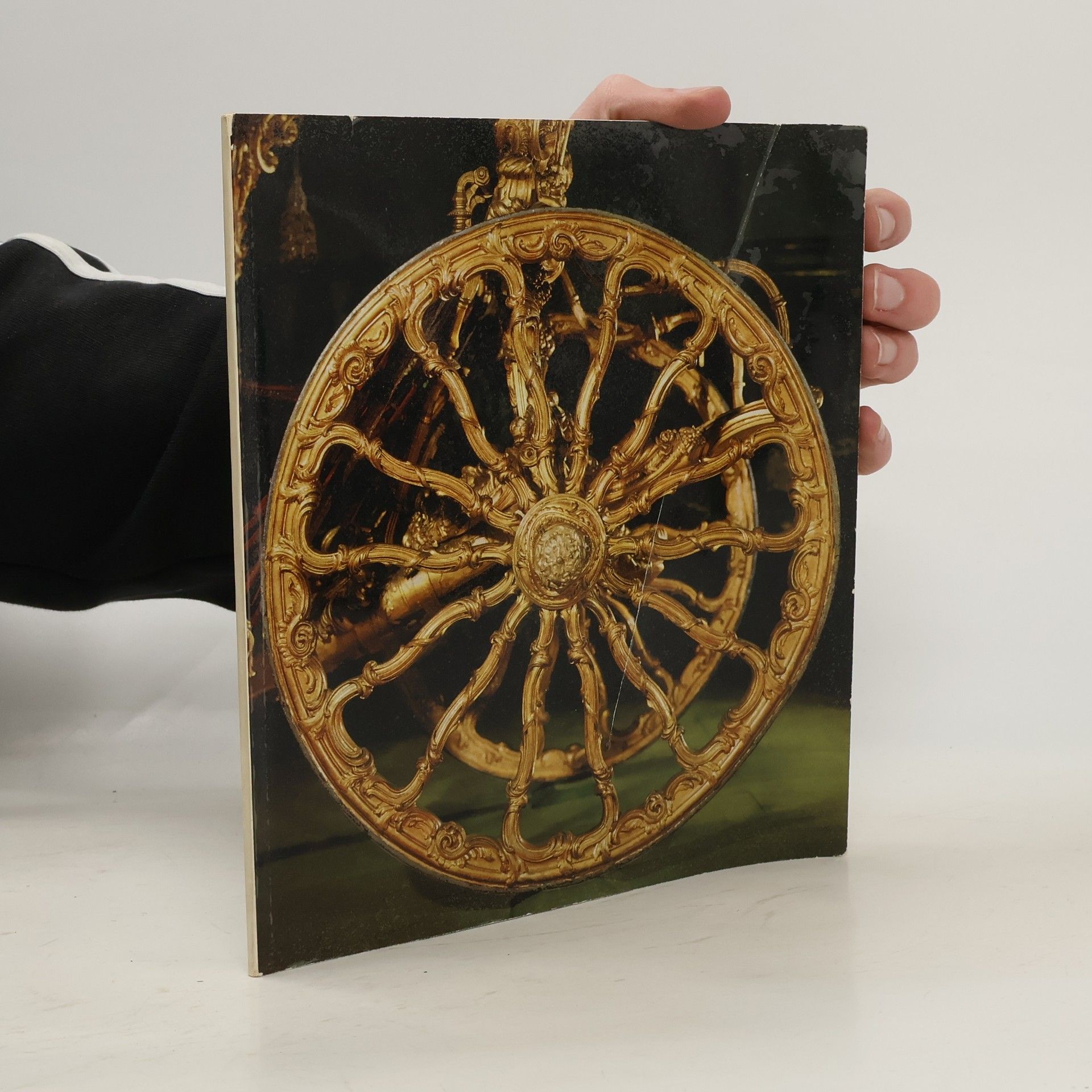 Collectif d'auteurs Führer Durch die Wagenburg