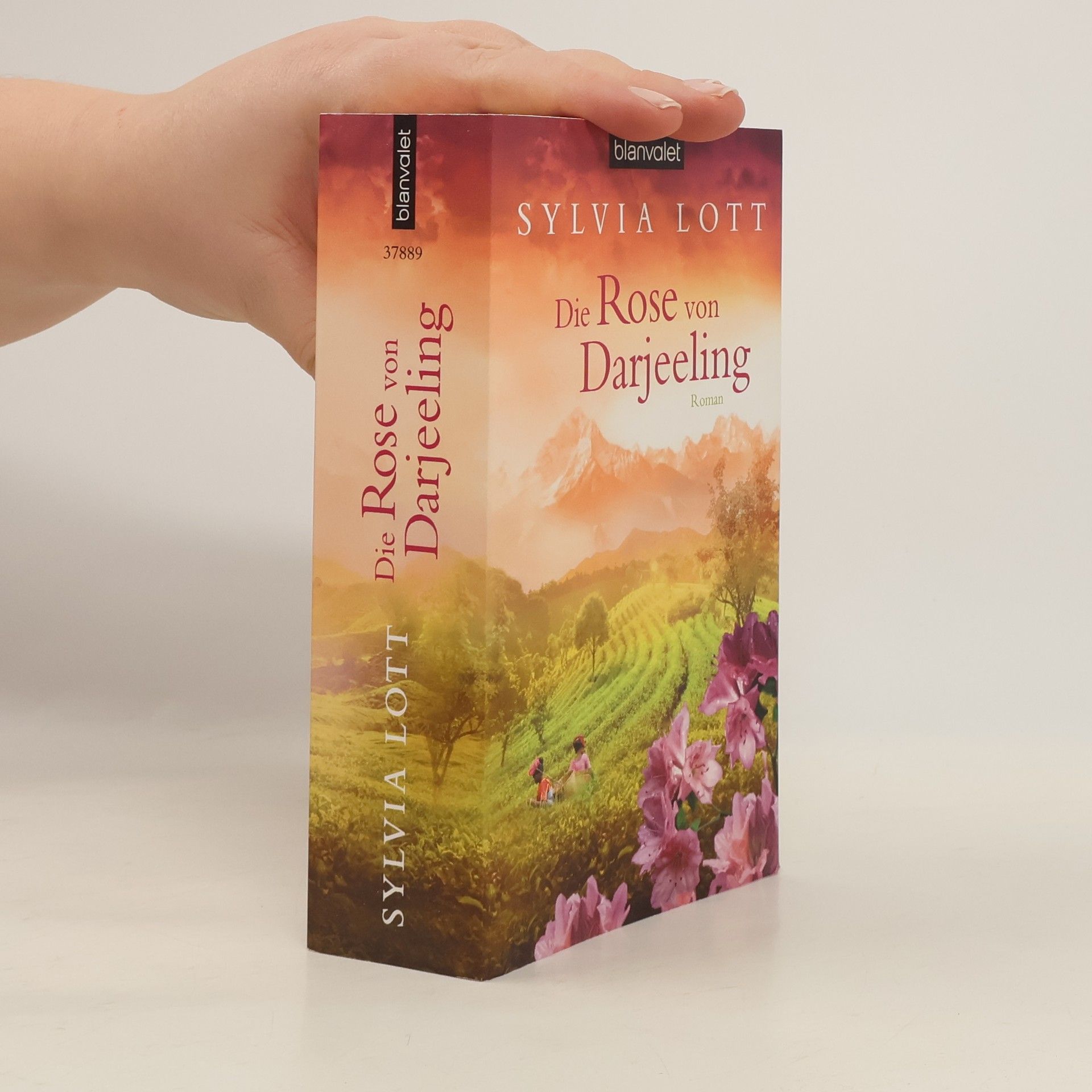 Sylvia Lott Die Rose von Darjeeling